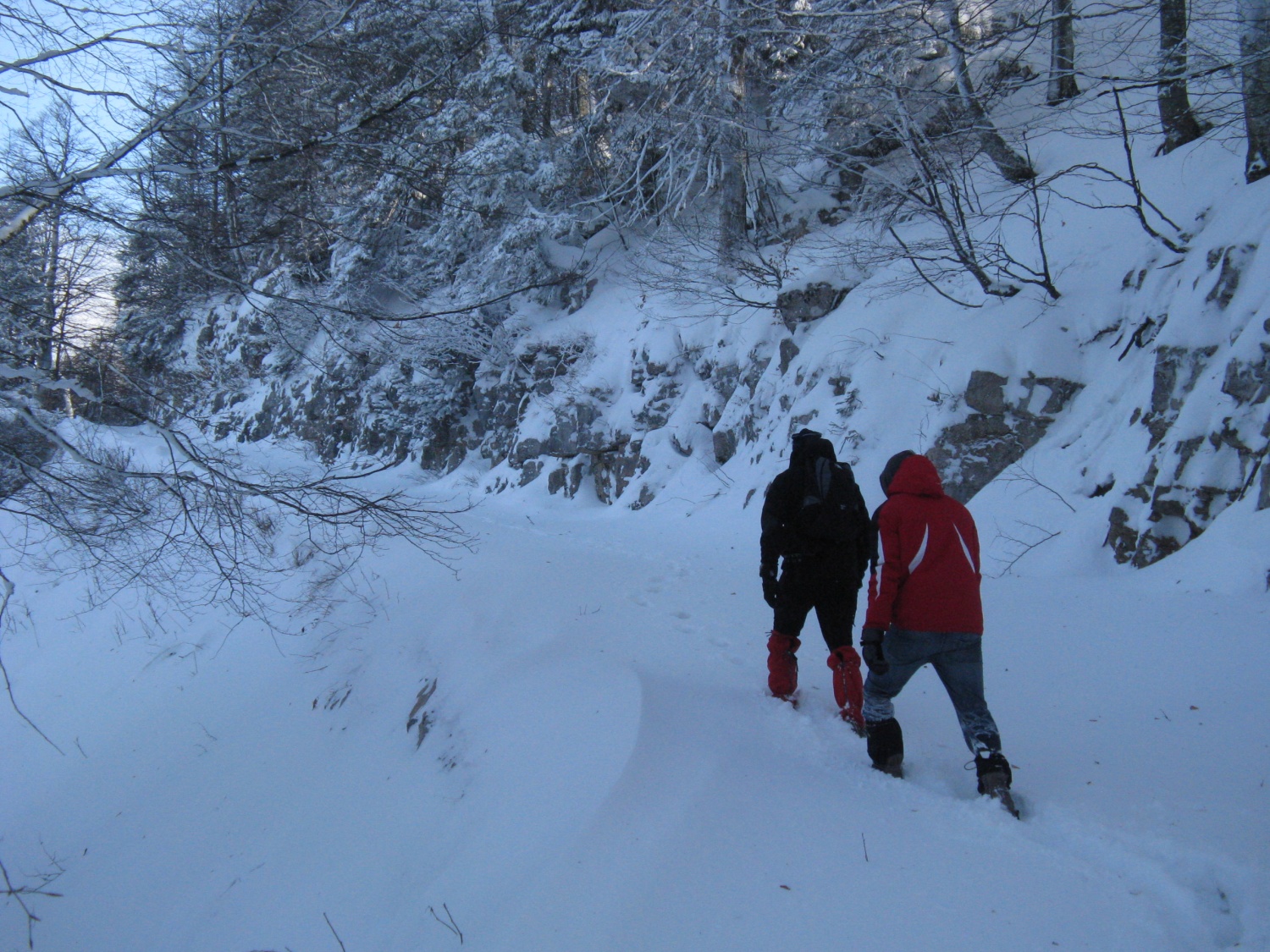 Snežnik na Francetov dan