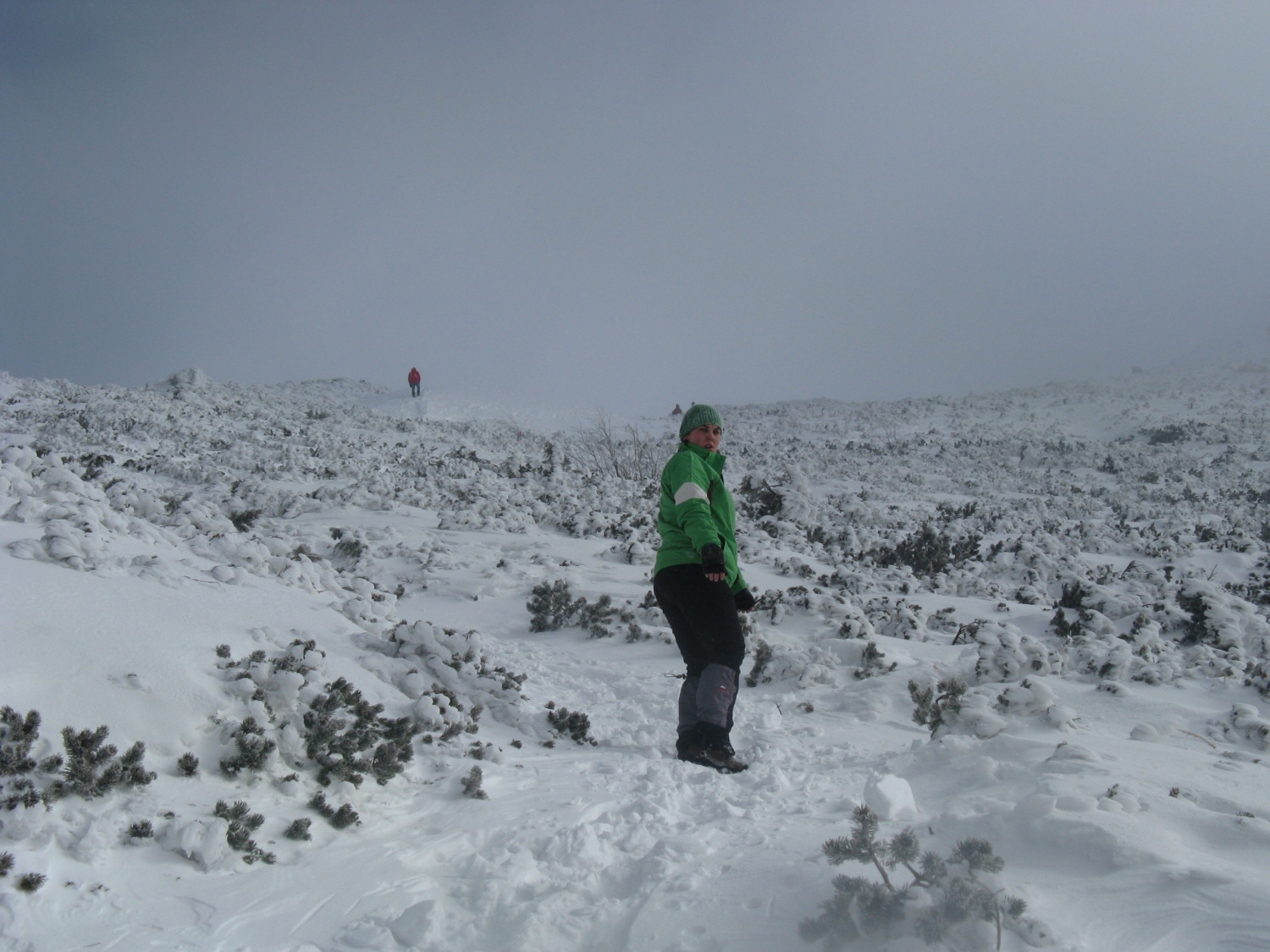 Snežnik na Francetov dan