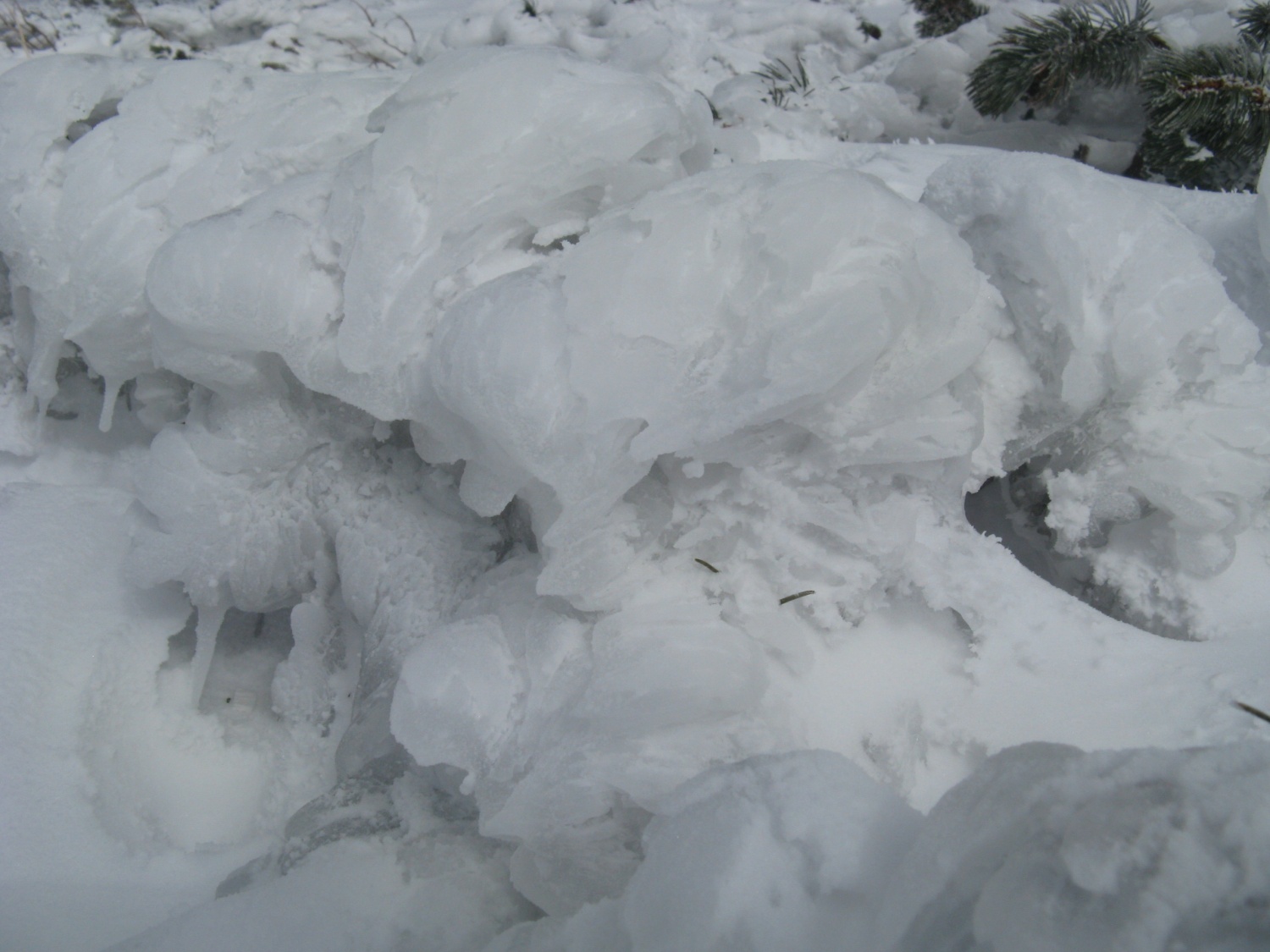 Snežnik na Francetov dan