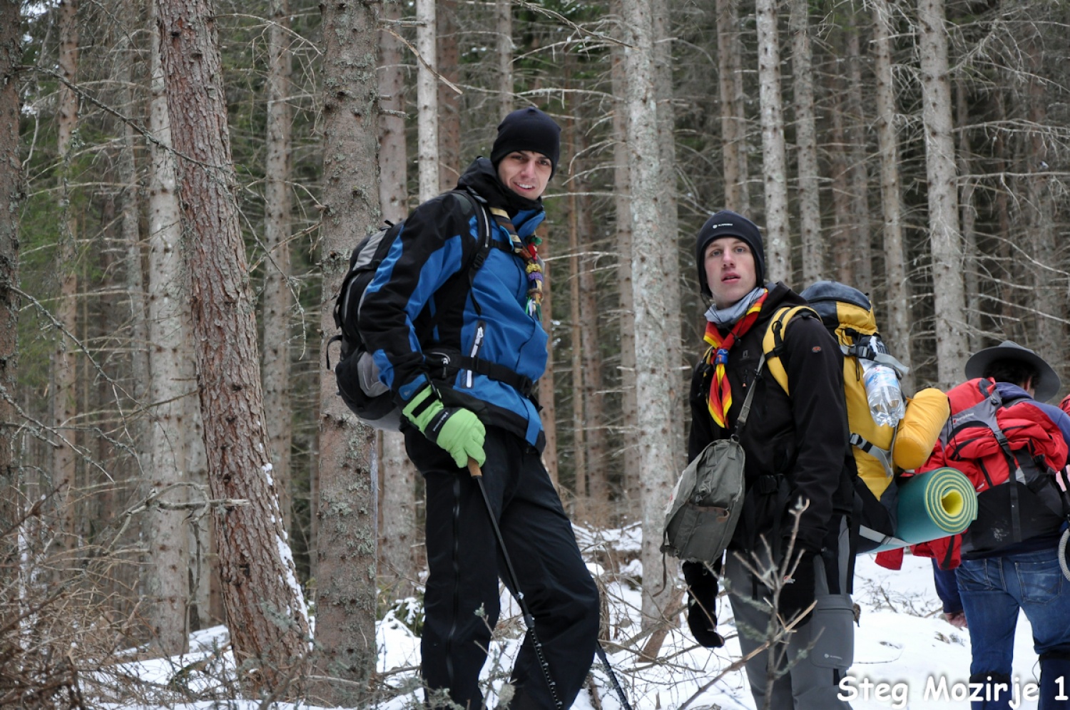 Beli jelen se nam je tudi tokrat izmuznil (FOTO)