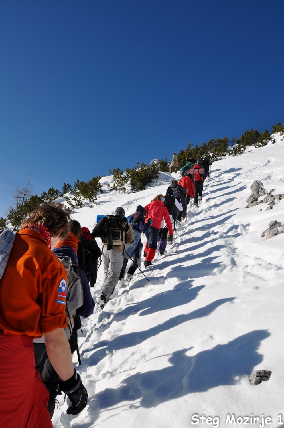 Beli jelen se nam je tudi tokrat izmuznil (FOTO)