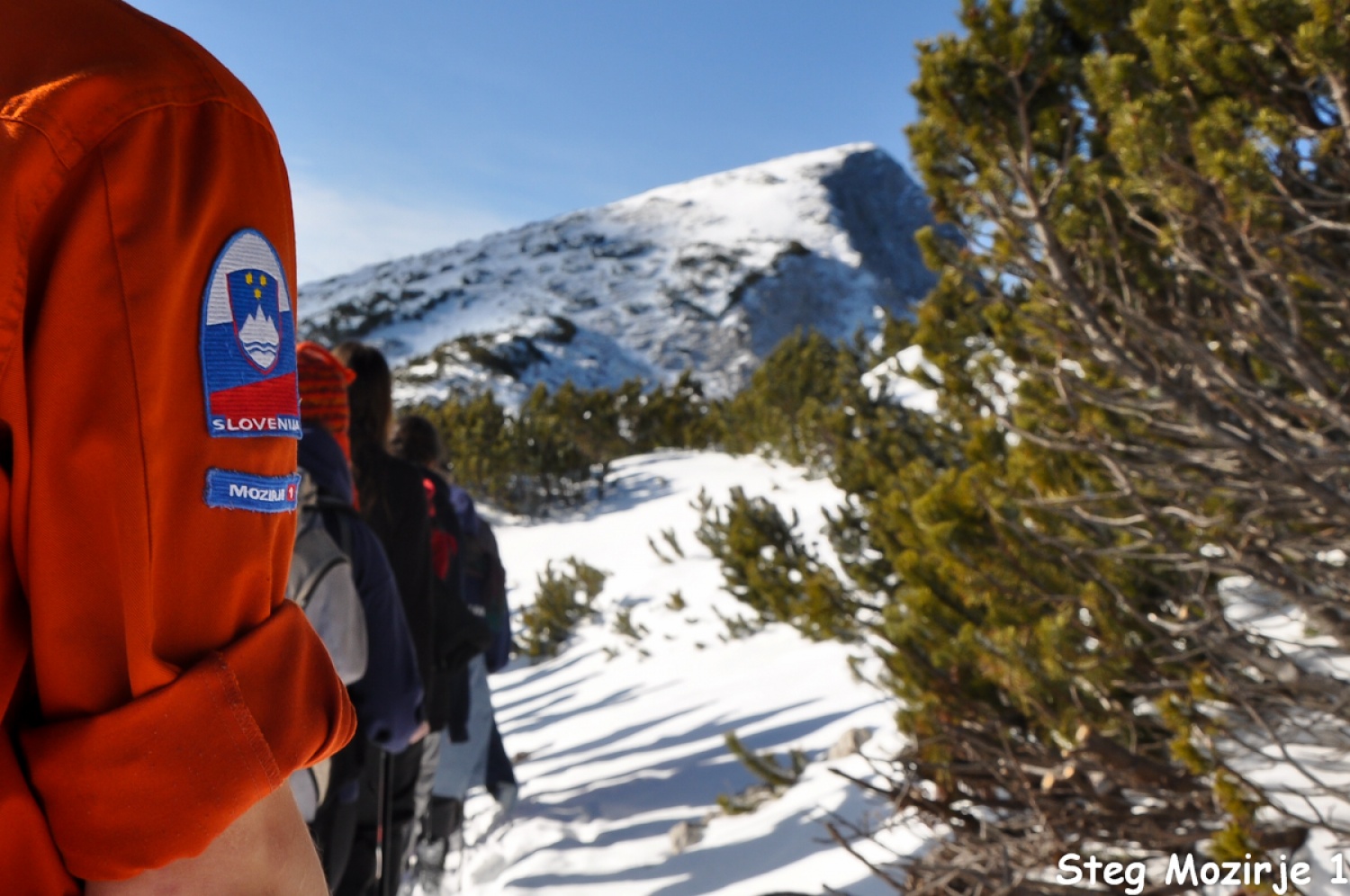 Beli jelen se nam je tudi tokrat izmuznil (FOTO)