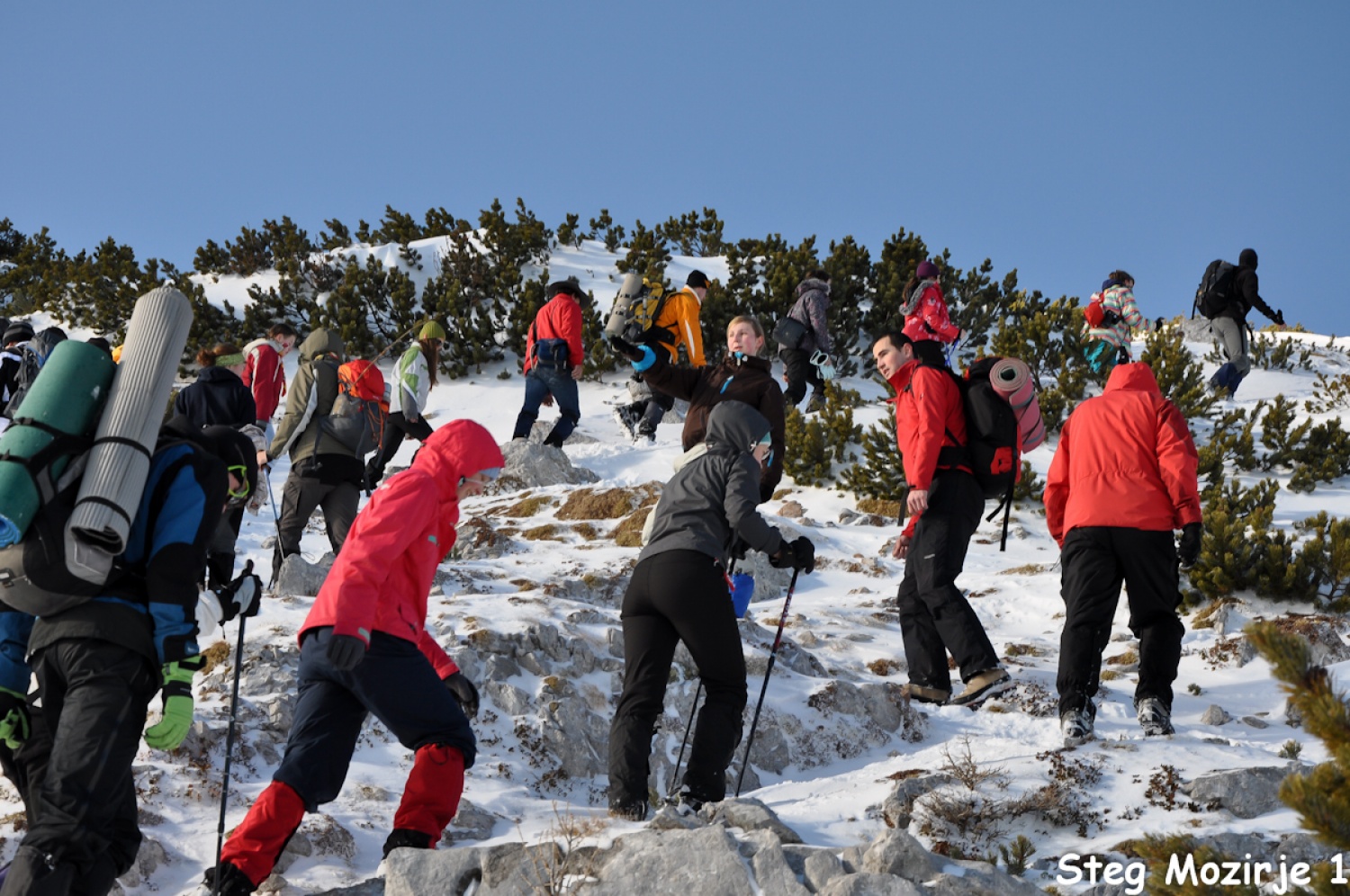 Beli jelen se nam je tudi tokrat izmuznil (FOTO)