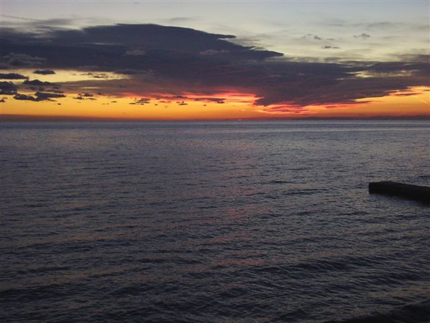 Poletni tabor bratovščin Celjske zverinice in danijelove sove