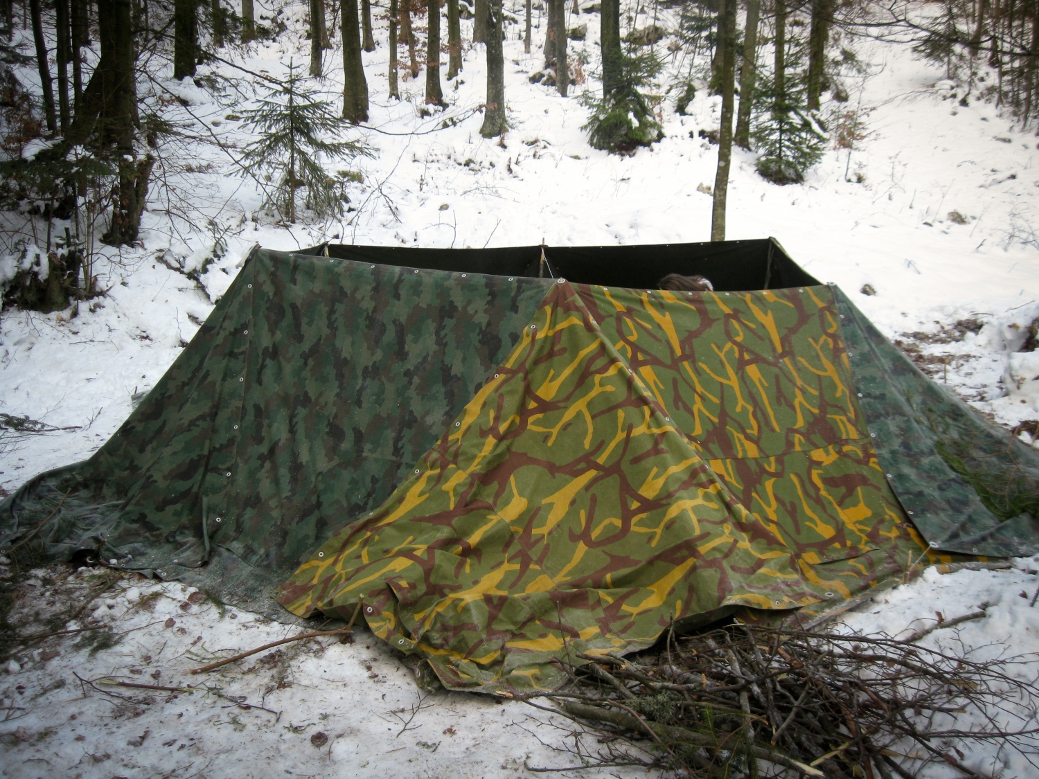 naše zimsko domovanje