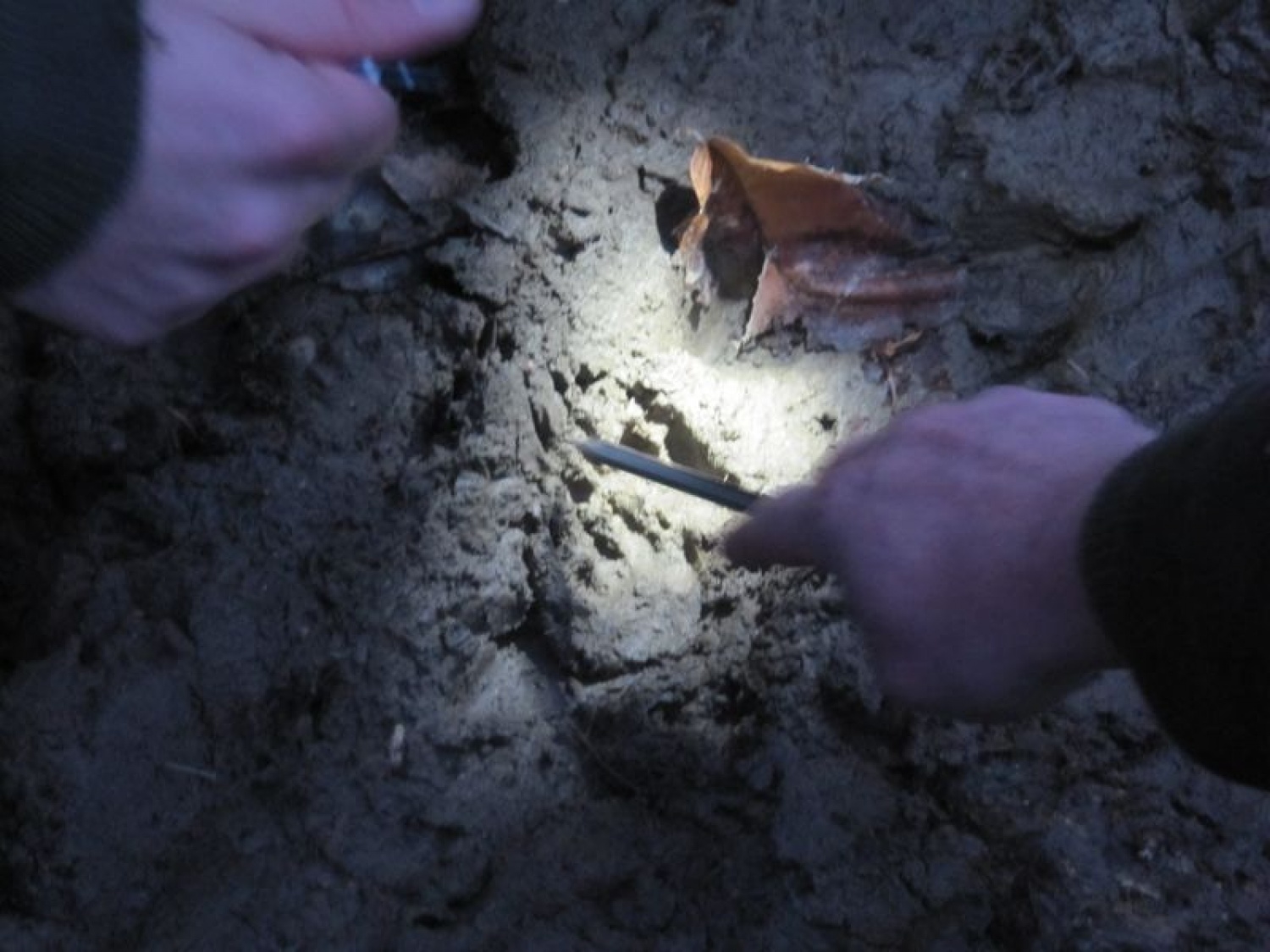 Izobraževalni vikend inštruktorjev ŽvN