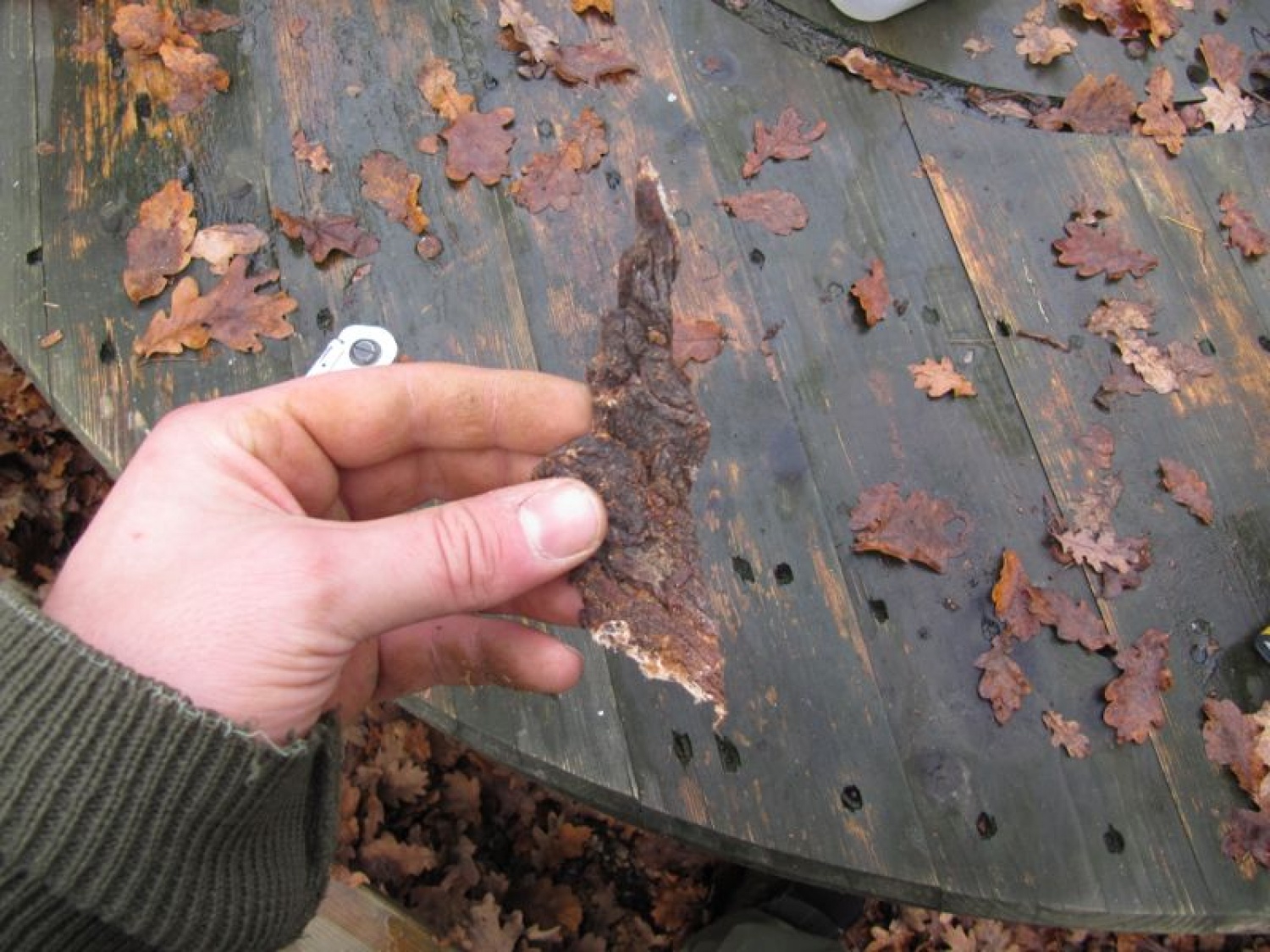 Izobraževalni vikend inštruktorjev ŽvN