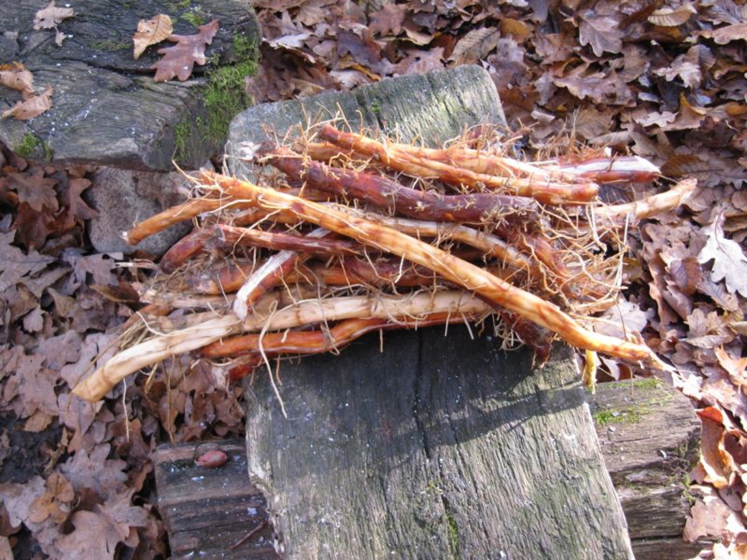 Izobraževalni vikend inštruktorjev ŽvN