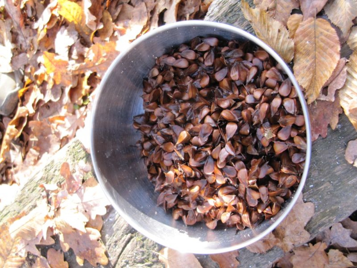 Izobraževalni vikend inštruktorjev ŽvN