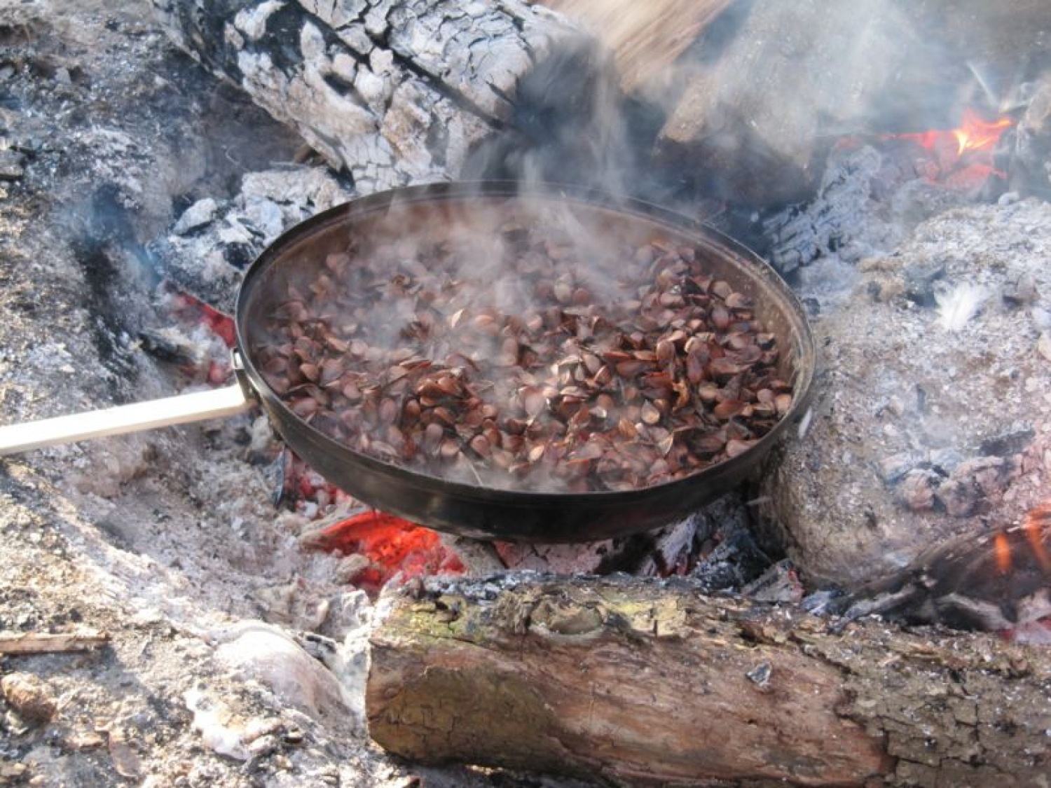 Izobraževalni vikend inštruktorjev ŽvN