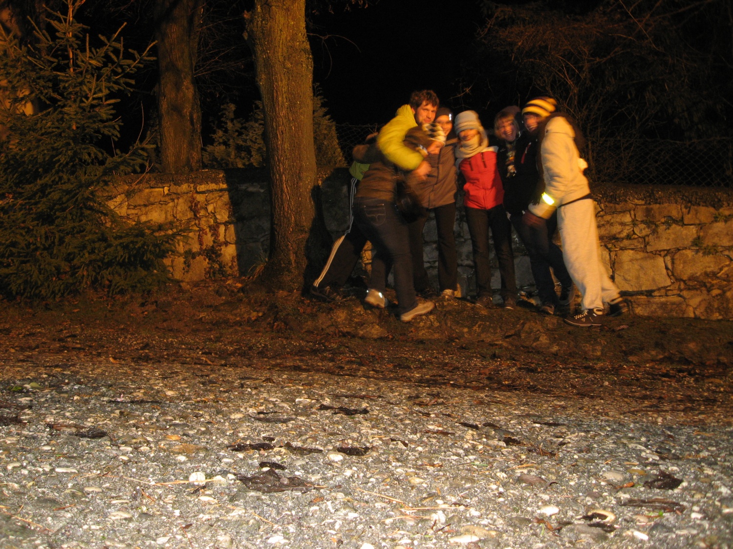 Načrtovanje gorenjskih voditeljev - zašli smo