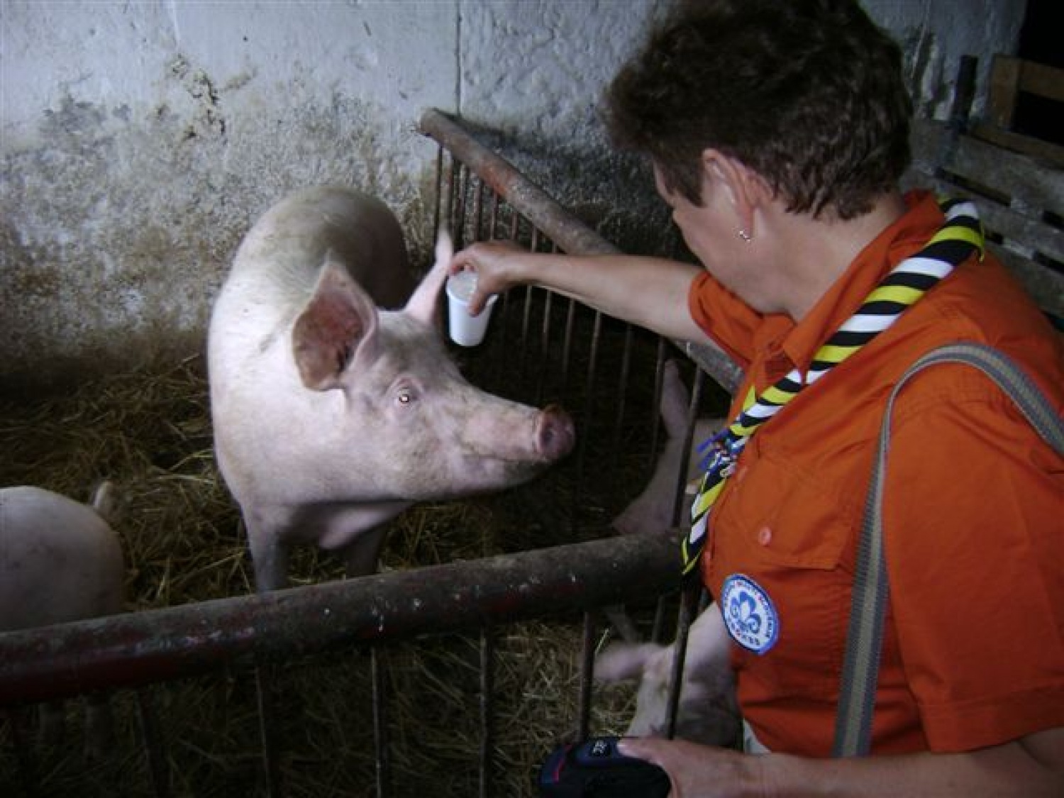 Gospod, blagoslovi to vozilo...