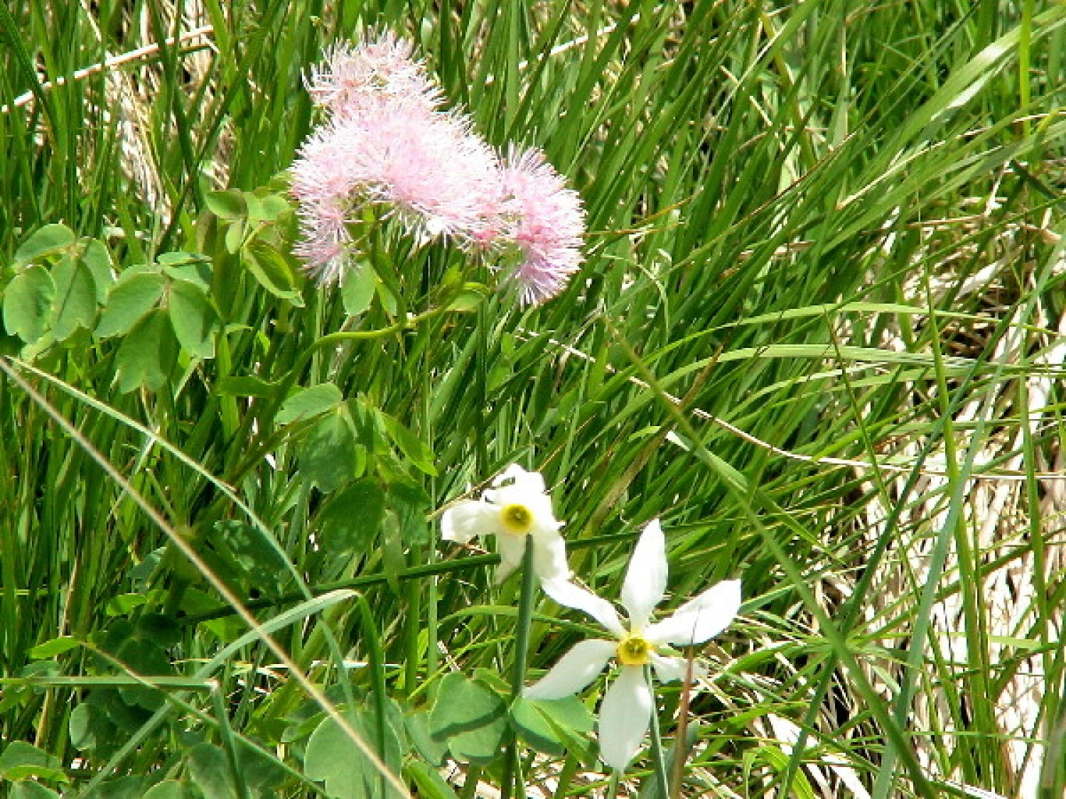 OD VZPONA NA VRH, MAŠA IN SPUST V DOLINO