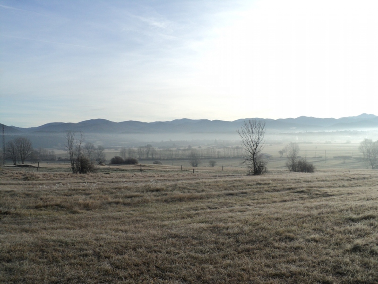 Kanja v škatli, *cimet v pečici in bela čokolada, ki ni zavita v foljo, ker je bil svizec na bolniški.