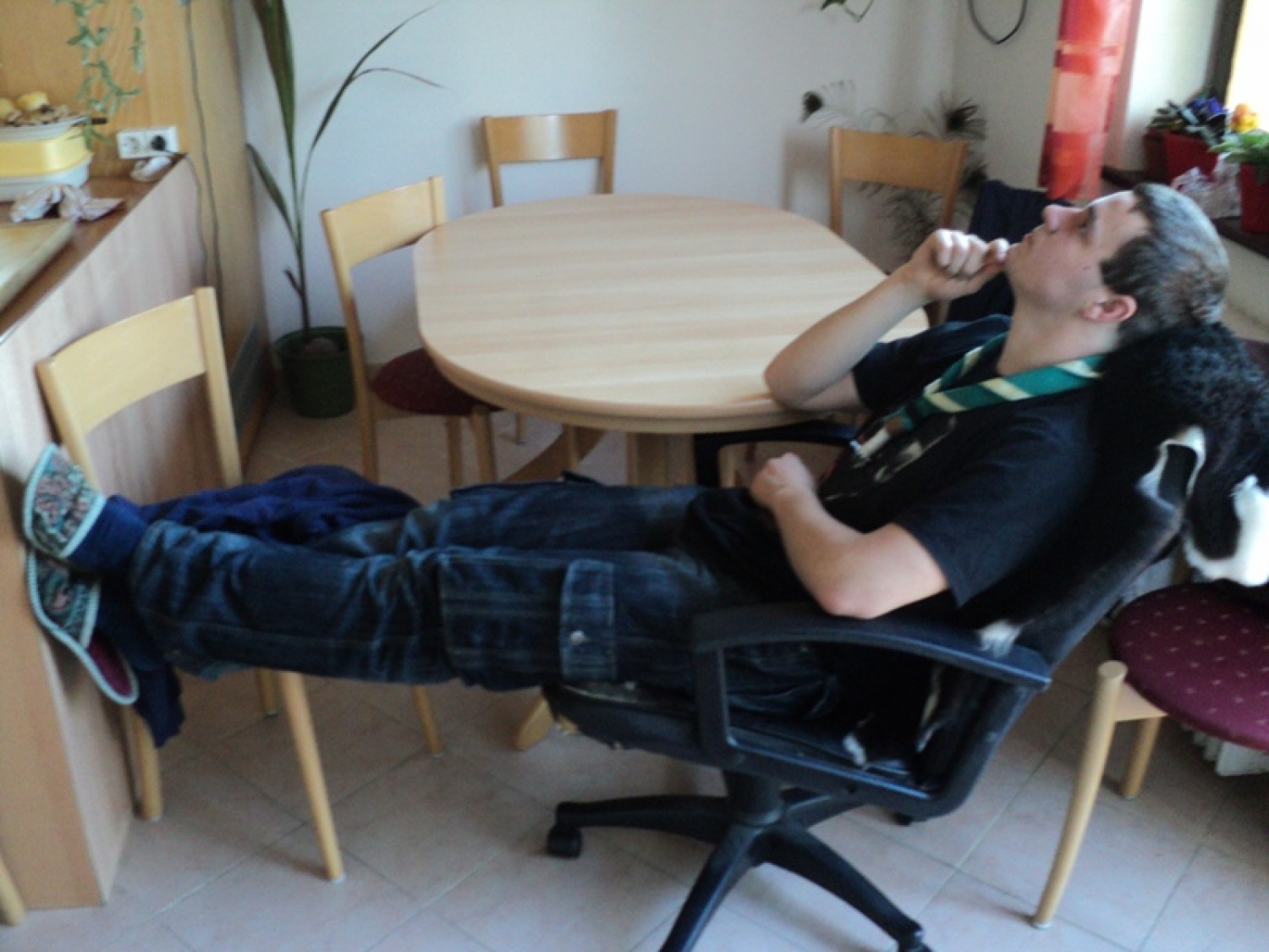 Kanja v škatli, *cimet v pečici in bela čokolada, ki ni zavita v foljo, ker je bil svizec na bolniški.