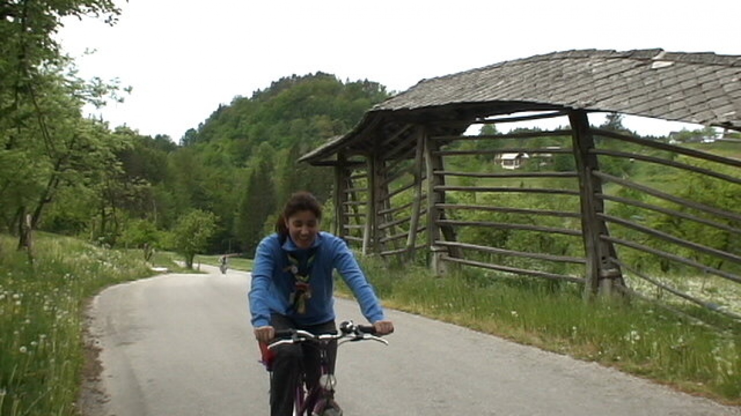 MIMO KOZOLCA MED CVETOČO TRAVO