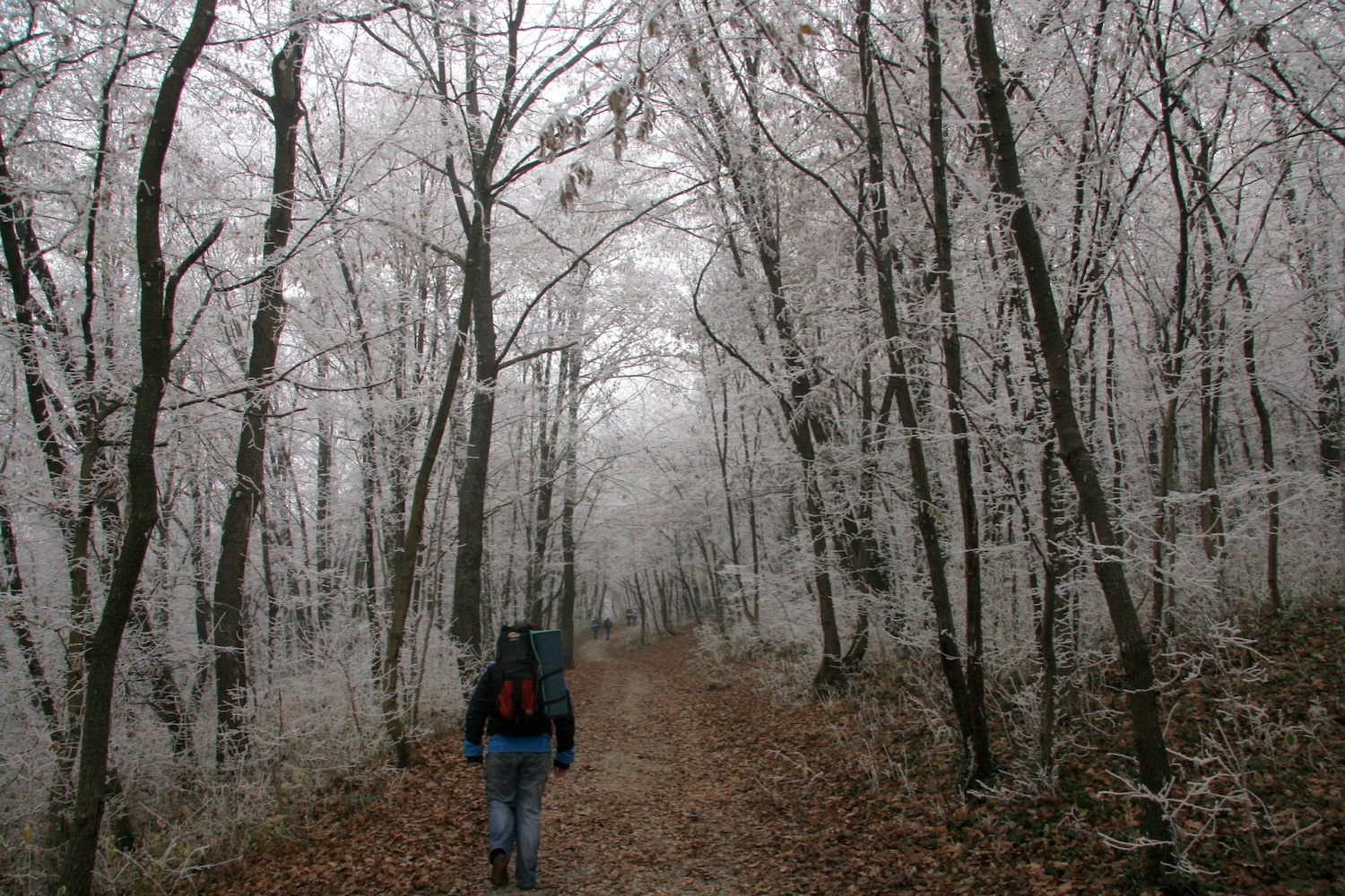 Čarobna pot na Sveto Ano (DSV PP)