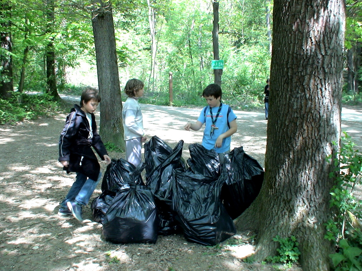 TO SMO NABRALI PRVA SKUPINA