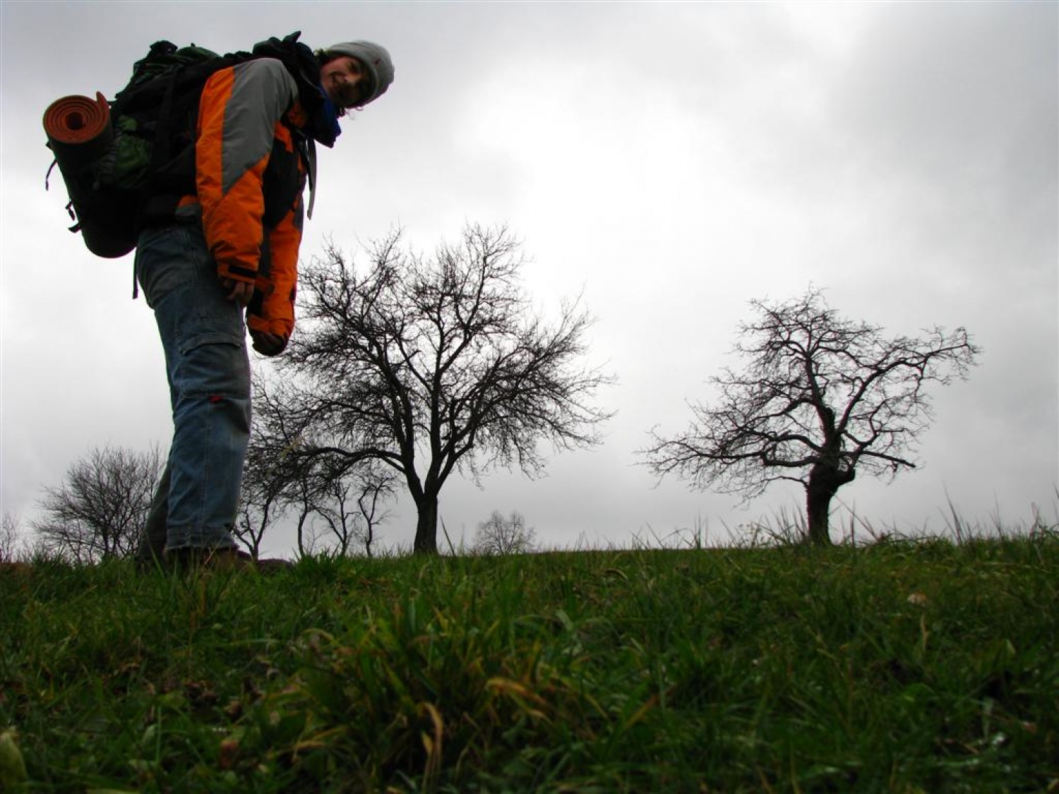 Mimo sadovnjakov ...
