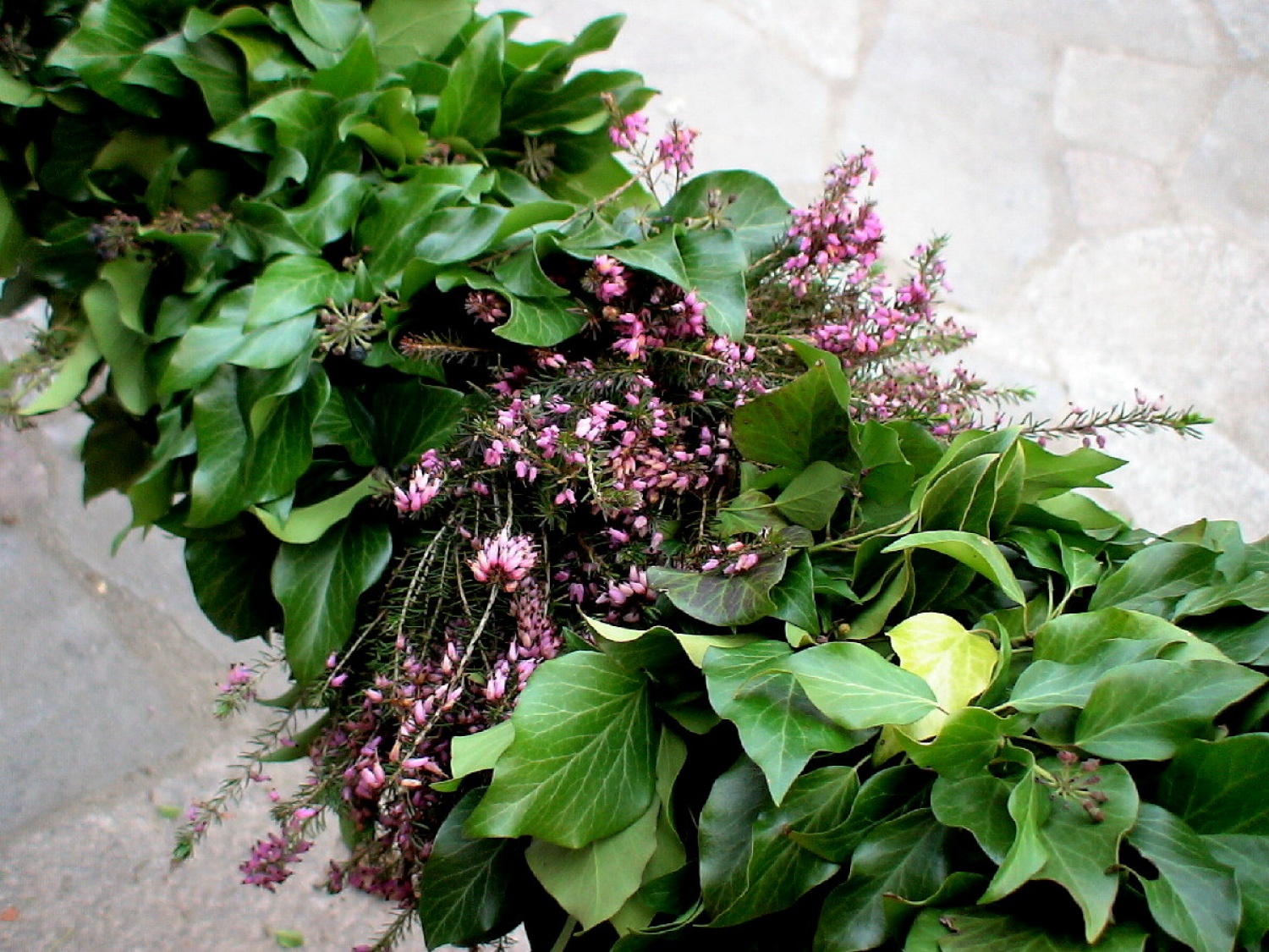 PLASTI BRŠLJANA IN VRESJA