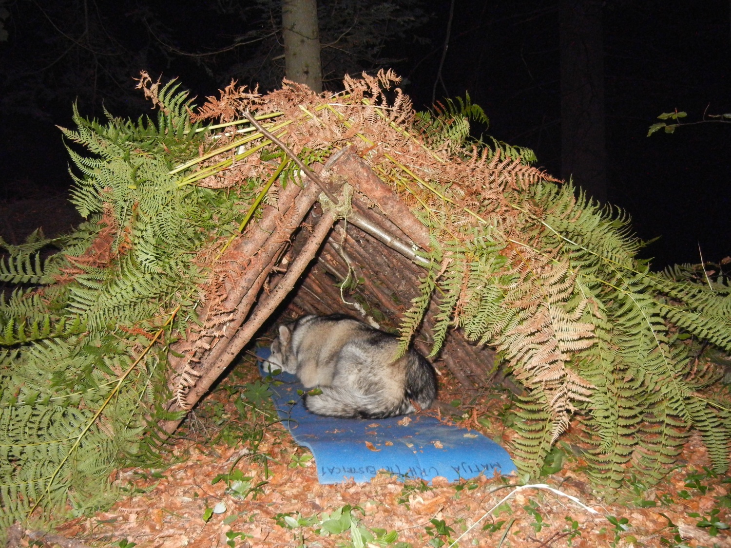 ŽVN 2 ob vsakem vremenu!