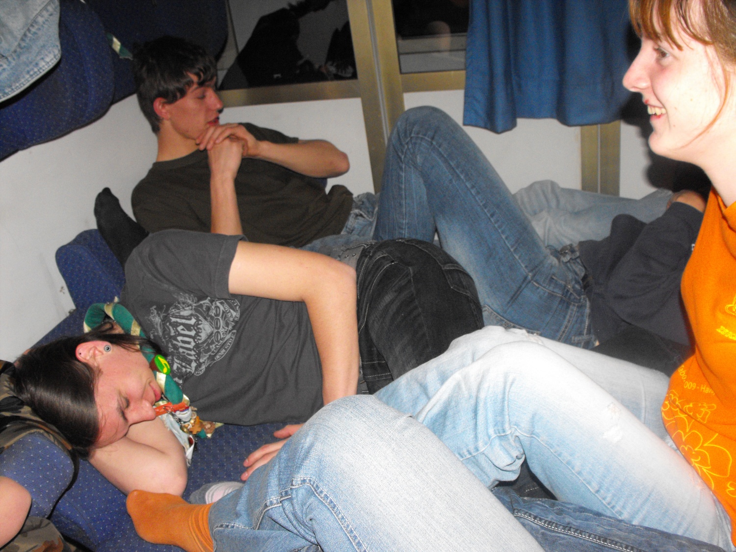 kot sardelce v konzervi