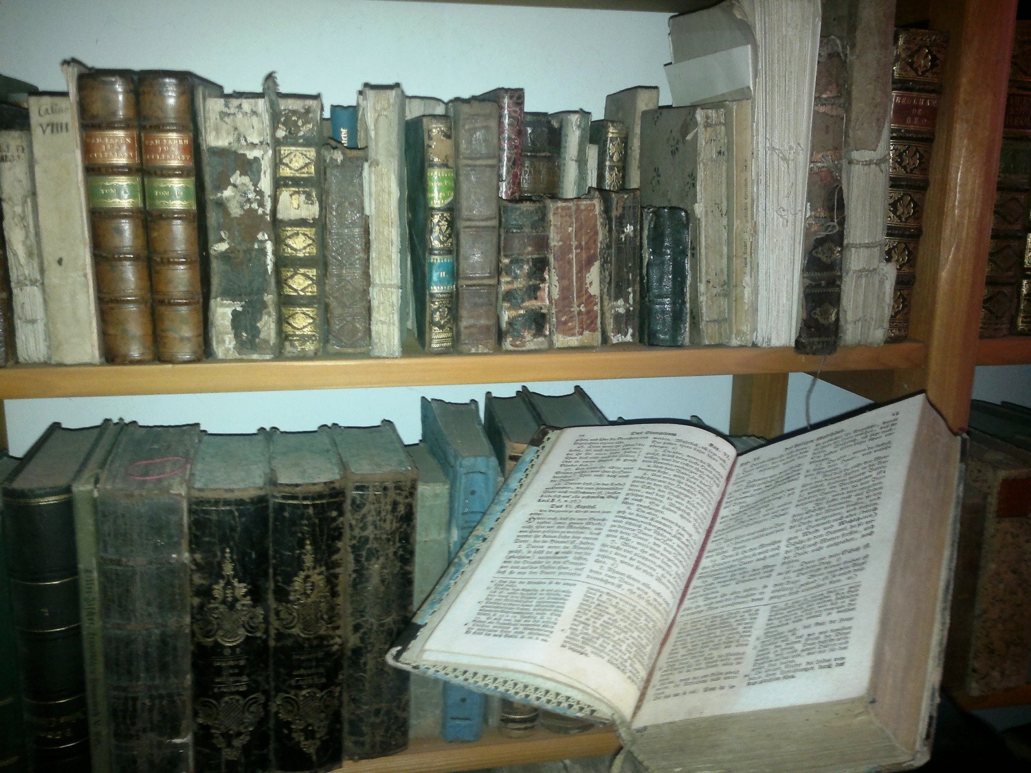 Ekipa SkavtNET - ustvarila spletni svet, drugačen od prejšnjih let!