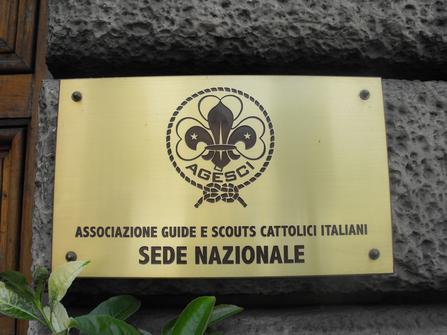 Združenje italijanskih katoliških skavtinj in skavtov