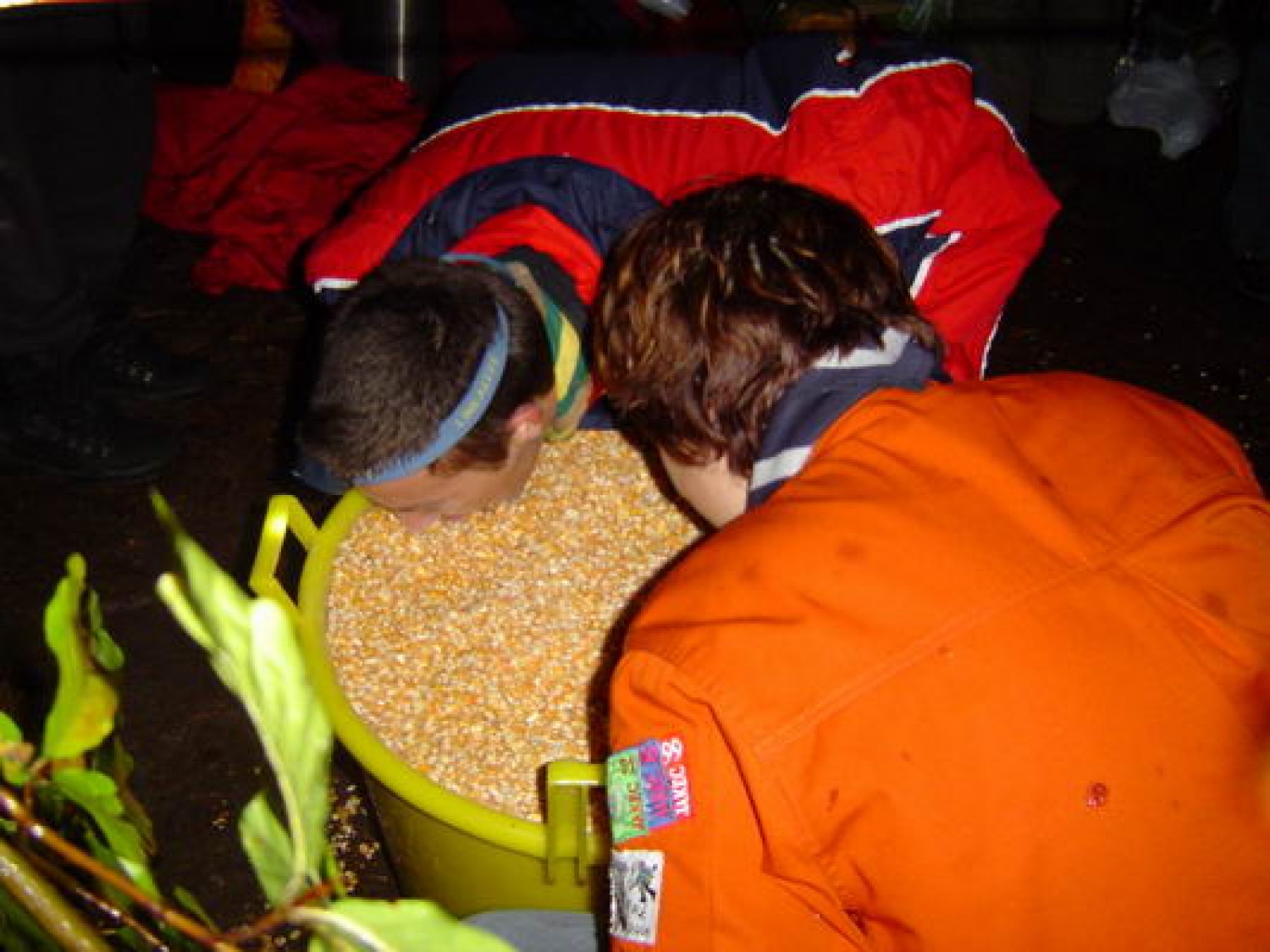 Sveže: rezultati Jakca!