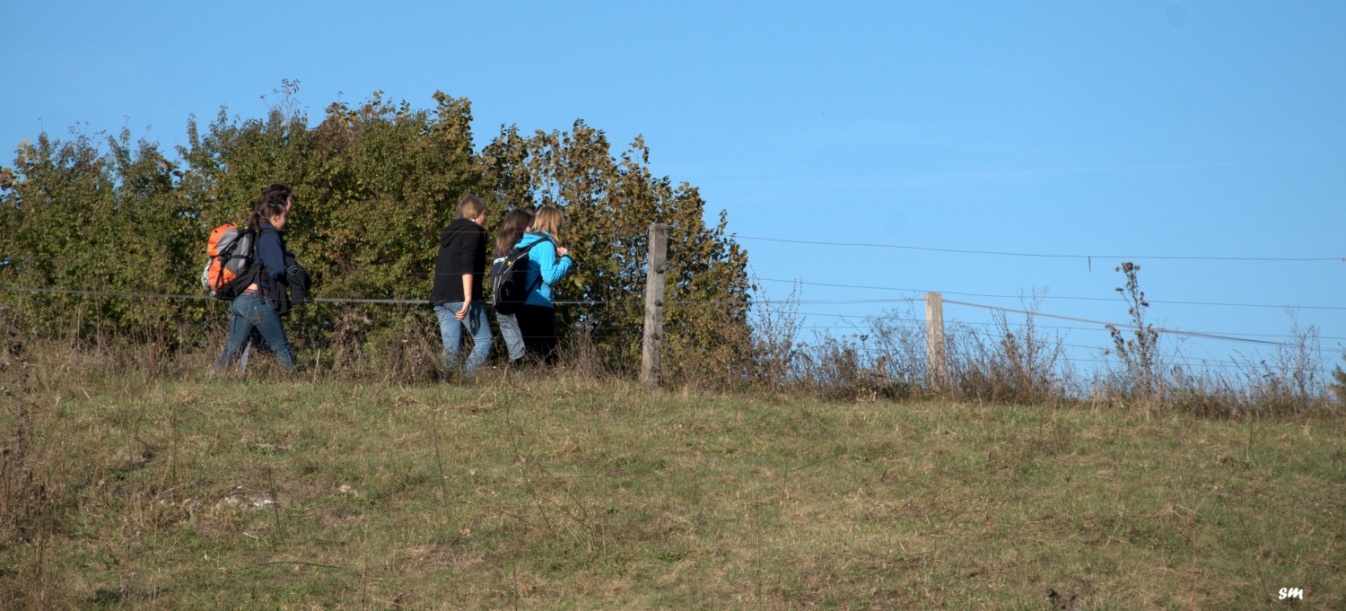 Jakec zopet navdušuje (VIDEO)