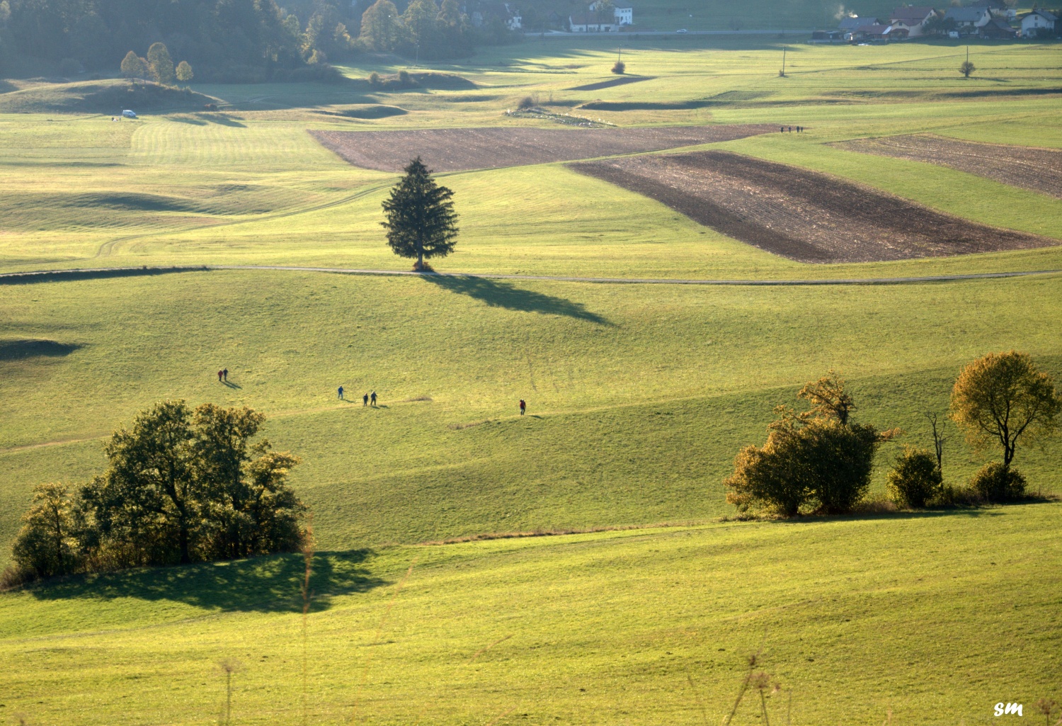 Jakec zopet navdušuje (VIDEO)