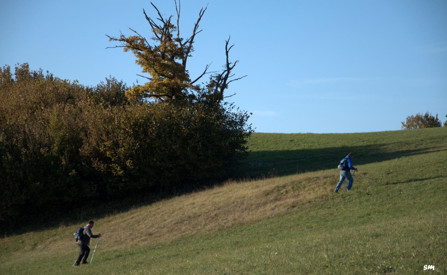 Jakec zopet navdušuje (VIDEO)