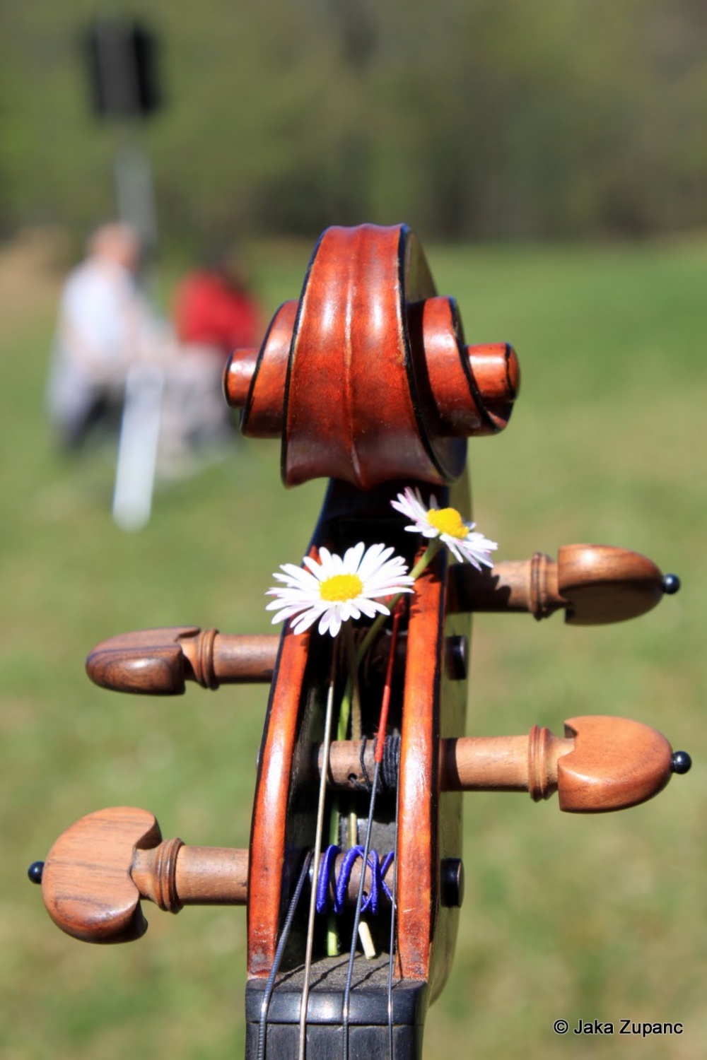 Steg Ljubljana 1 smo se podali na vikend poln doživetij, ki smo ga zaključili s sprejemom novih članov v našo veliko skavtsko družino ter med nas sprejeli tudi novega DA. Kaj vse smo počeli pa si preberite v nadaljevanju.
