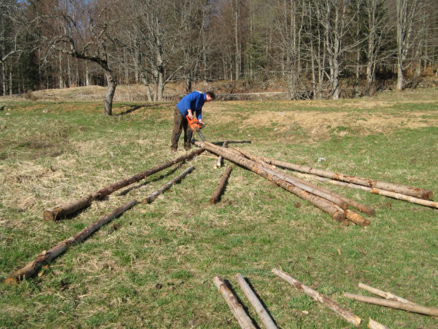 Prijetni pomladni žarki so na plan zvabili tudi pridne roke skavtov, ki smo se odzvali vabilu in prvi vikend v aprilu preživeli v Skavtskem okoljskem centru v Kočevskem Rogu.