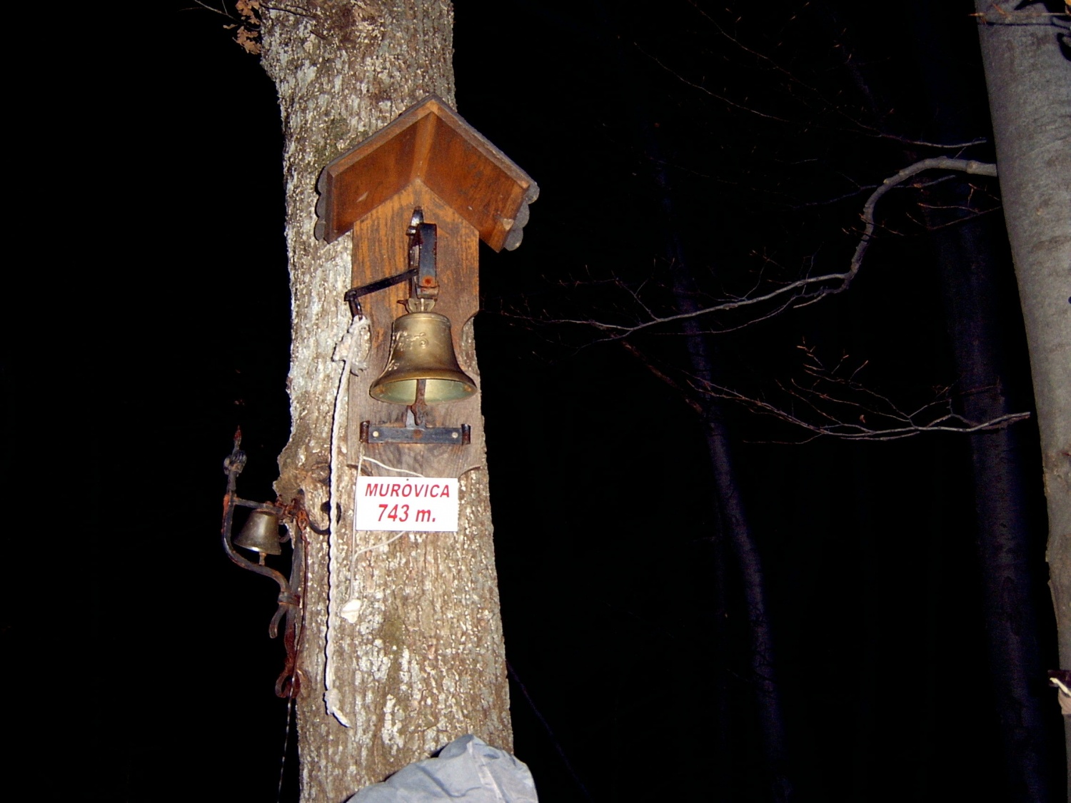 HOJA DO VRHA IN NA VRHU