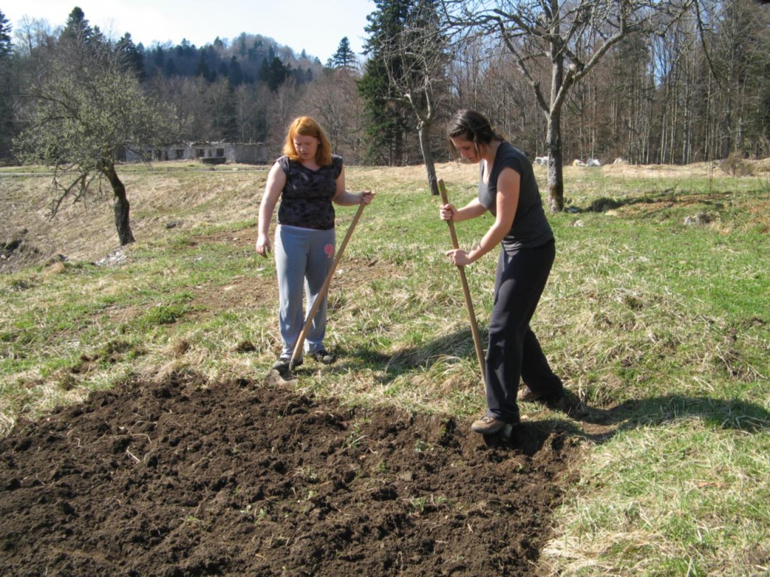 Prijetni pomladni žarki so na plan zvabili tudi pridne roke skavtov, ki smo se odzvali vabilu in prvi vikend v aprilu preživeli v Skavtskem okoljskem centru v Kočevskem Rogu.