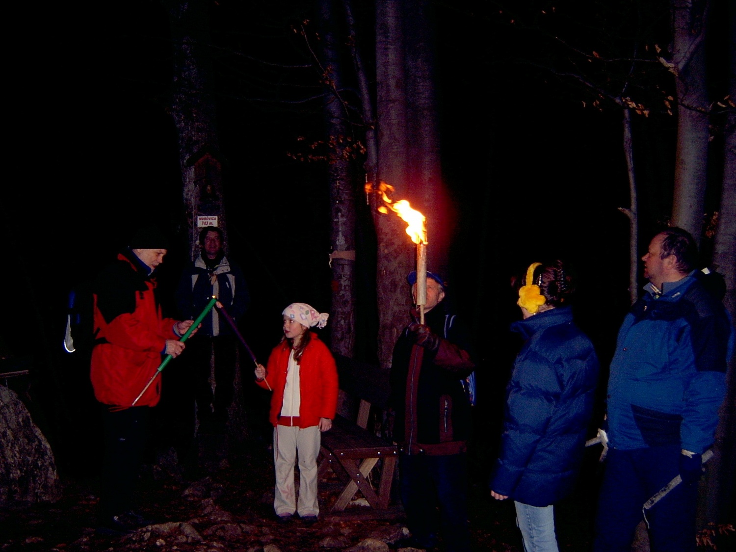 HOJA DO VRHA IN NA VRHU