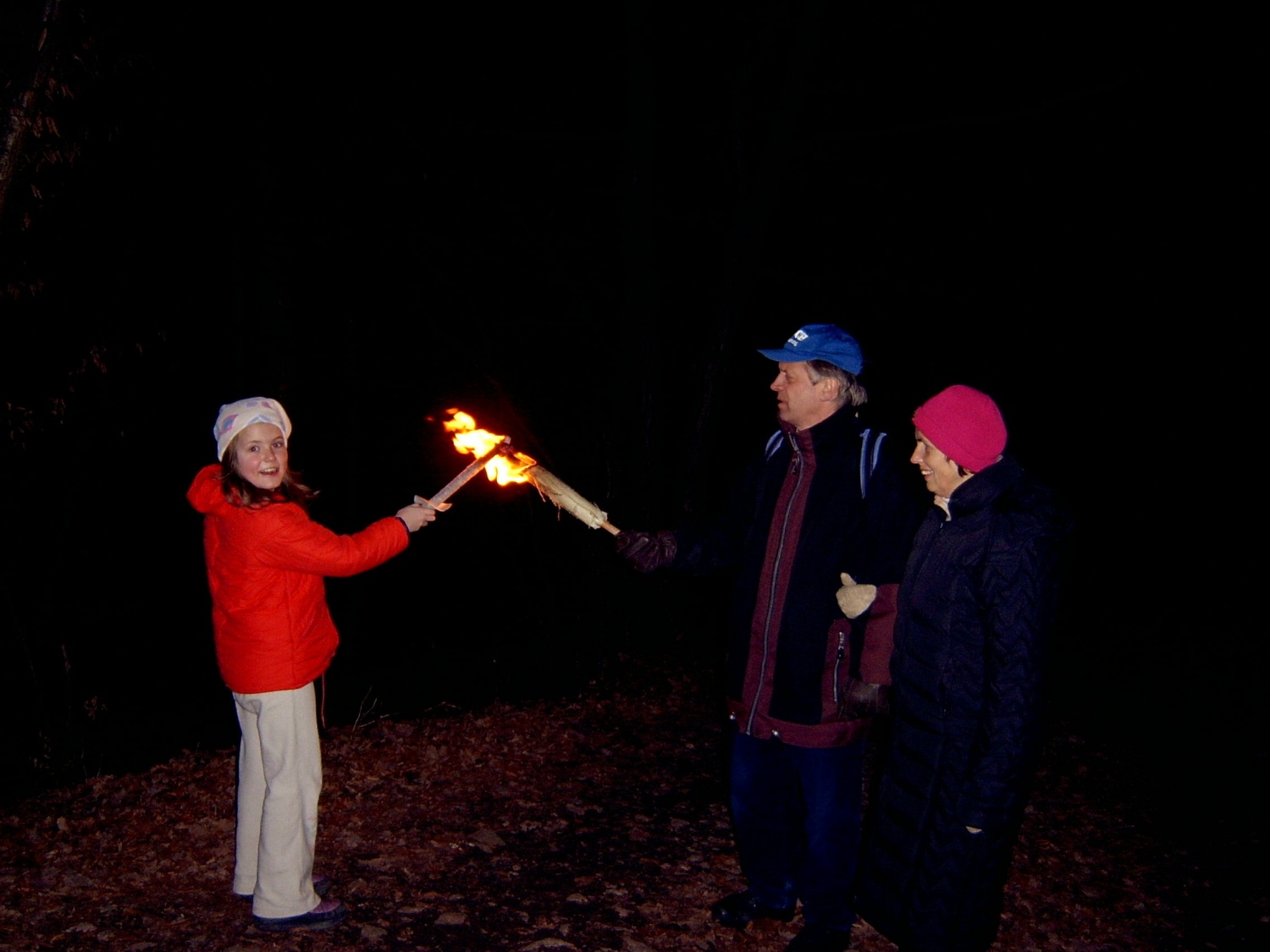 HOJA DO VRHA IN NA VRHU