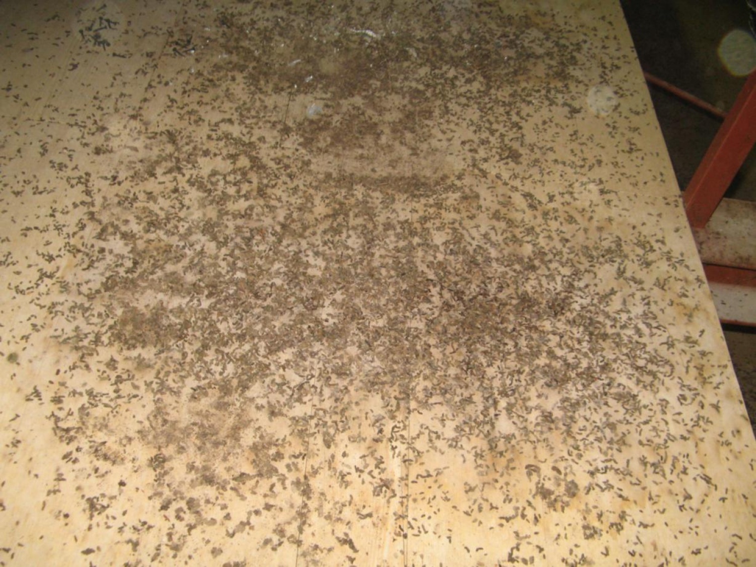 Prijetni pomladni žarki so na plan zvabili tudi pridne roke skavtov, ki smo se odzvali vabilu in prvi vikend v aprilu preživeli v Skavtskem okoljskem centru v Kočevskem Rogu.