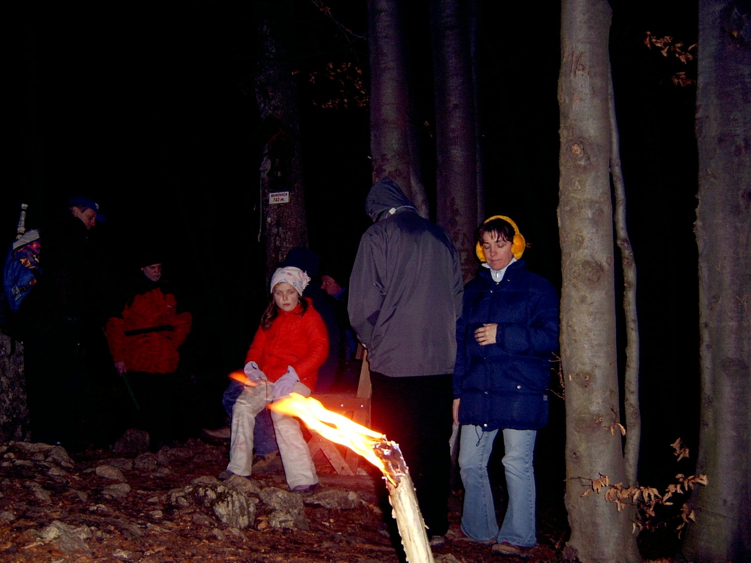 HOJA DO VRHA IN NA VRHU