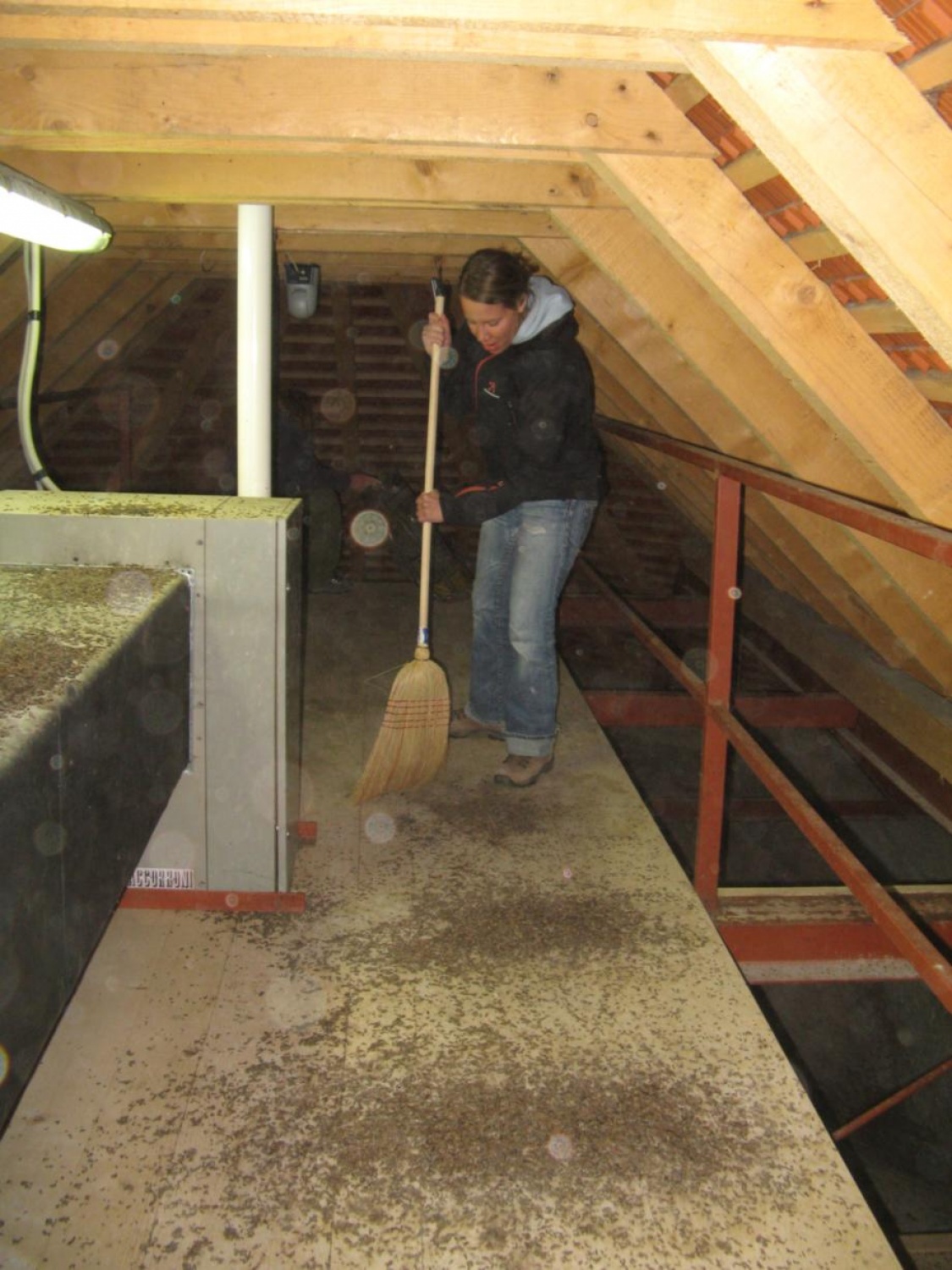 Prijetni pomladni žarki so na plan zvabili tudi pridne roke skavtov, ki smo se odzvali vabilu in prvi vikend v aprilu preživeli v Skavtskem okoljskem centru v Kočevskem Rogu.