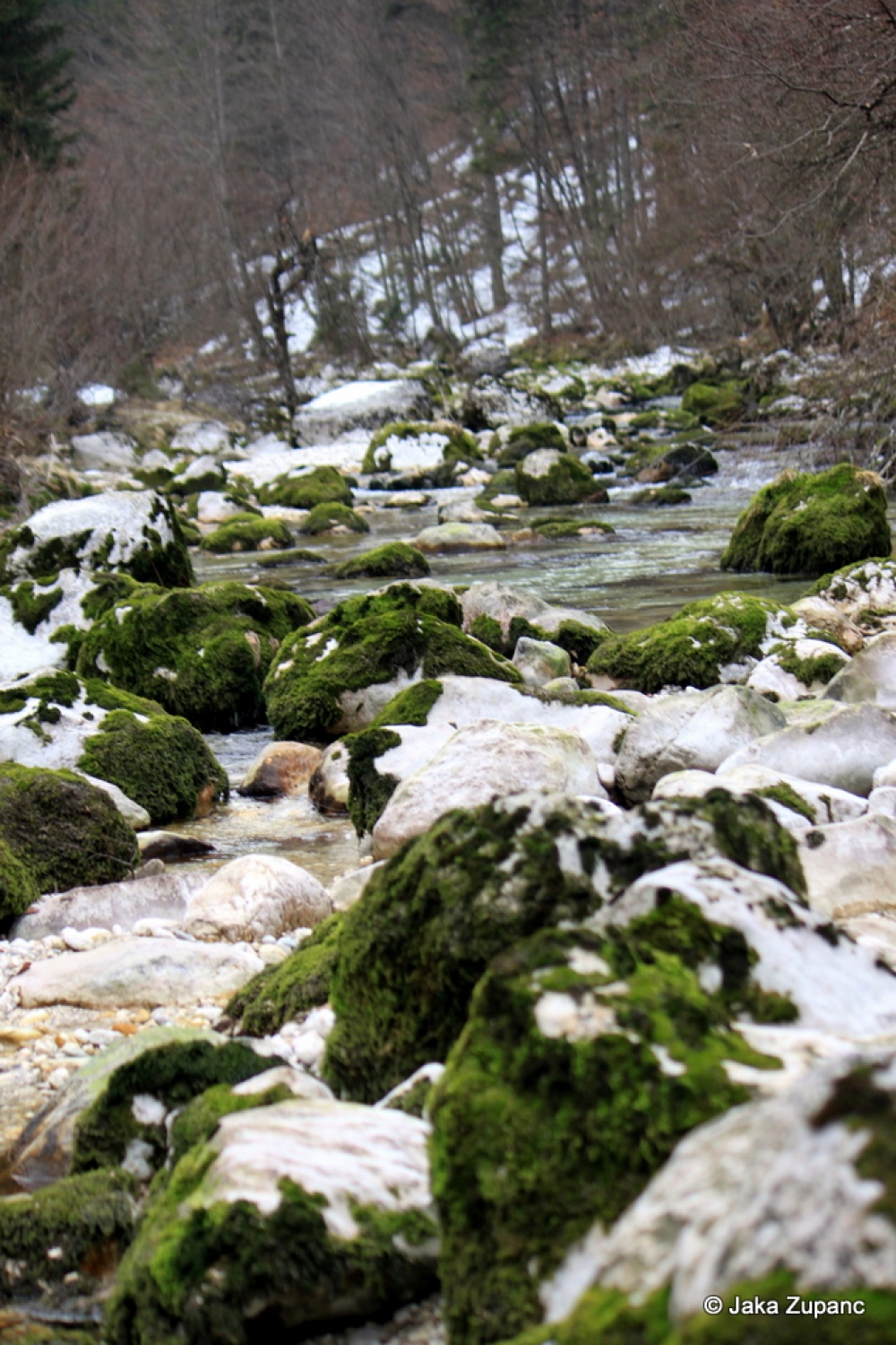 Vedno pestre in zanimive skavtske dni, po domače kar zimovanje, smo pričeli v petek 28.1. ob 20h s prijetno eno urno vožnjo s kombijem do naše izbrane destinacije v bližini Bohinjskega jezera (za poznavalce malo naprej od vasi Češnjica), kjer smo pustili kombi in se peš odpravili naprej.