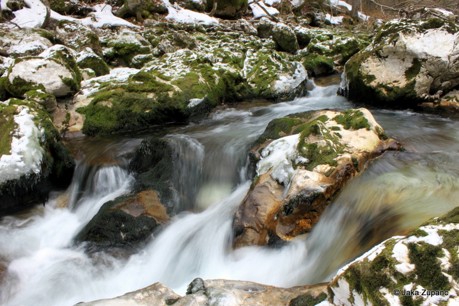 Vedno pestre in zanimive skavtske dni, po domače kar zimovanje, smo pričeli v petek 28.1. ob 20h s prijetno eno urno vožnjo s kombijem do naše izbrane destinacije v bližini Bohinjskega jezera (za poznavalce malo naprej od vasi Češnjica), kjer smo pustili kombi in se peš odpravili naprej.