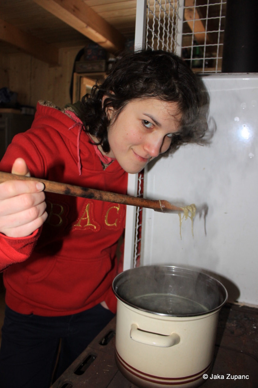 Kuharica in kuhanje kosila