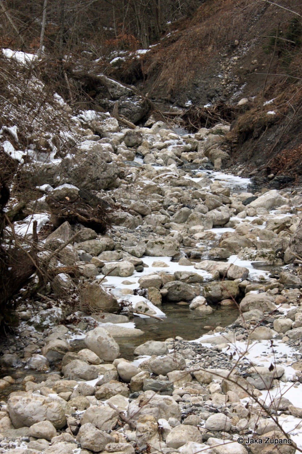 Vedno pestre in zanimive skavtske dni, po domače kar zimovanje, smo pričeli v petek 28.1. ob 20h s prijetno eno urno vožnjo s kombijem do naše izbrane destinacije v bližini Bohinjskega jezera (za poznavalce malo naprej od vasi Češnjica), kjer smo pustili kombi in se peš odpravili naprej.