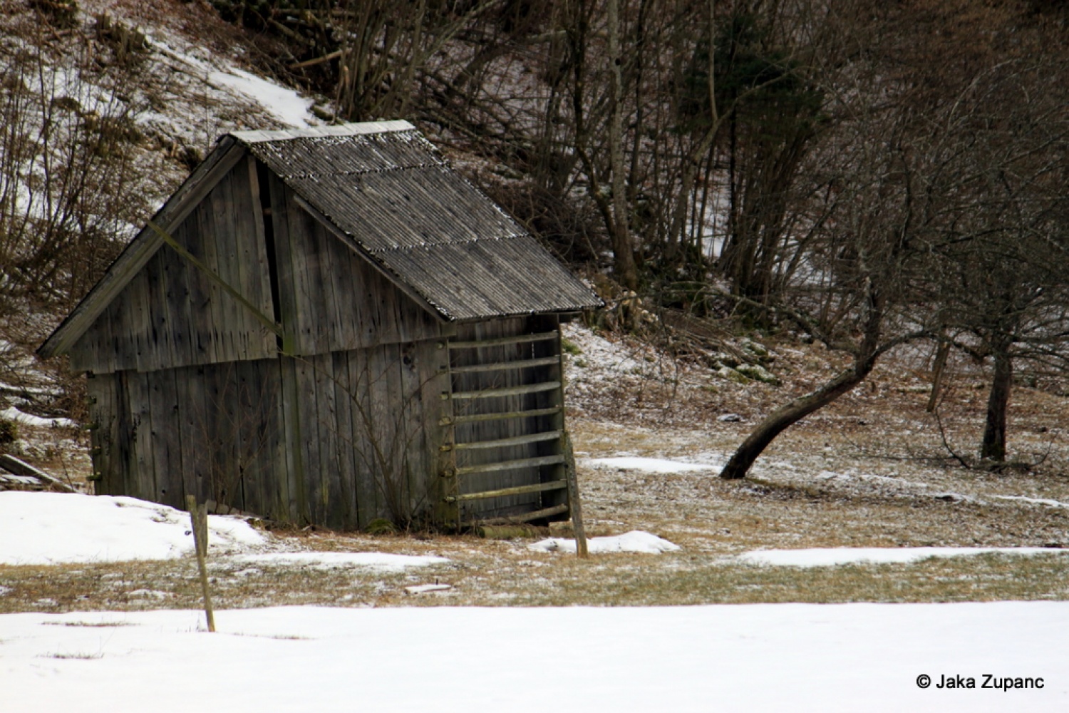 Vedno pestre in zanimive skavtske dni, po domače kar zimovanje, smo pričeli v petek 28.1. ob 20h s prijetno eno urno vožnjo s kombijem do naše izbrane destinacije v bližini Bohinjskega jezera (za poznavalce malo naprej od vasi Češnjica), kjer smo pustili kombi in se peš odpravili naprej.
