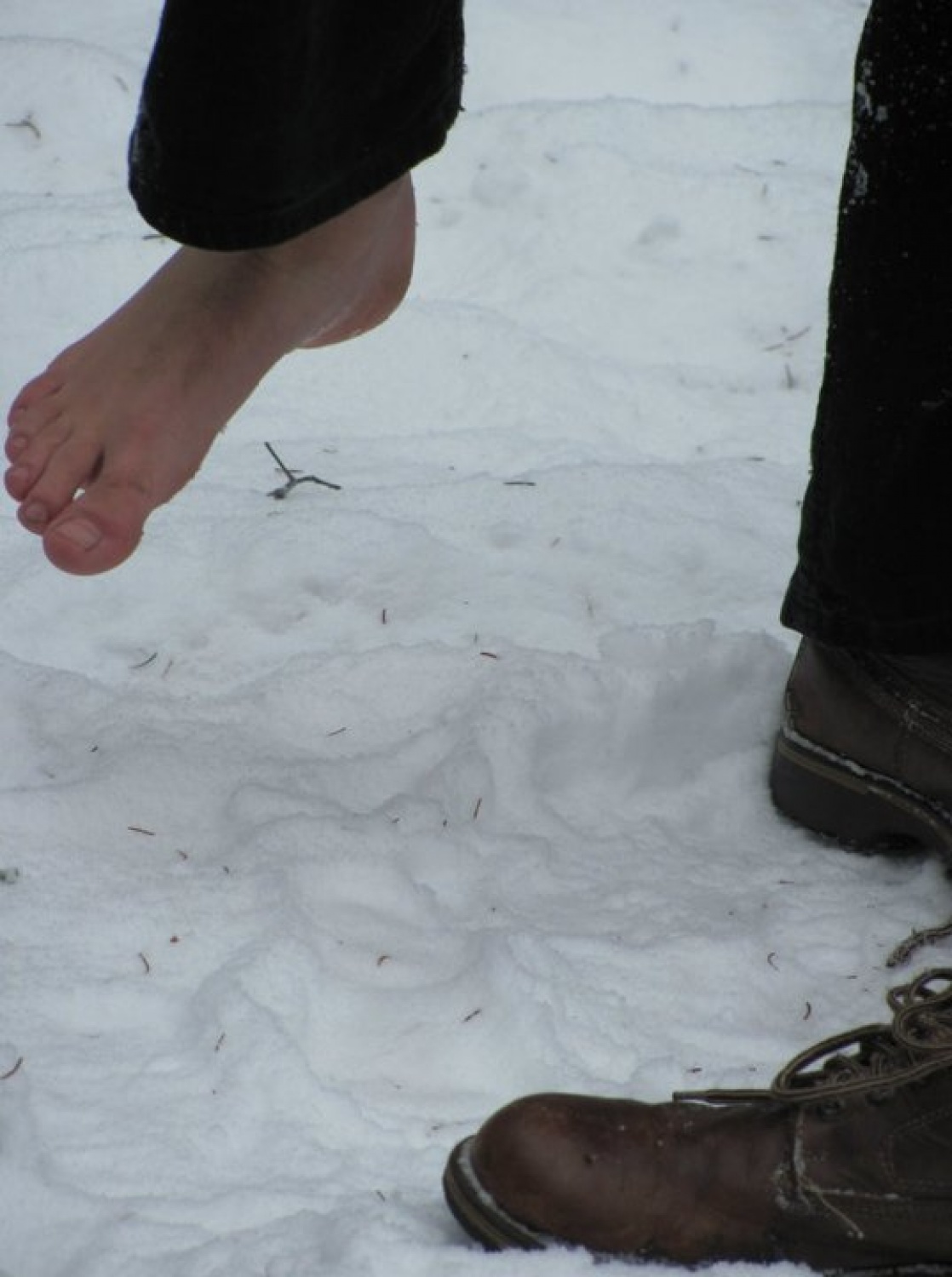 Juha se je začela kuhati med klanovodji Poljanske in Selše doline.  Vse do meglenega  jutra, 29. januarja 2011, naj bi naš načrt ostal skrivnost, pa voditelji še zdaj ne vemo, kdo od klanovcev je posumil, da se nekaj kuha …