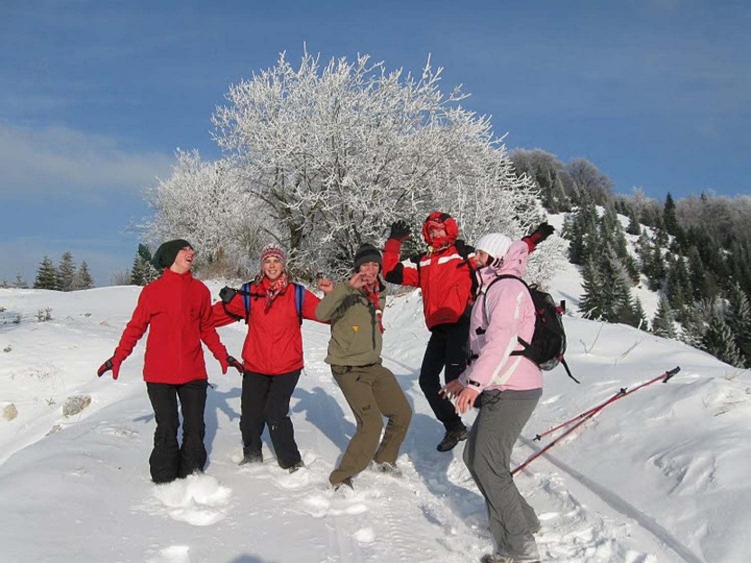 Juha se je začela kuhati med klanovodji Poljanske in Selše doline.  Vse do meglenega  jutra, 29. januarja 2011, naj bi naš načrt ostal skrivnost, pa voditelji še zdaj ne vemo, kdo od klanovcev je posumil, da se nekaj kuha …