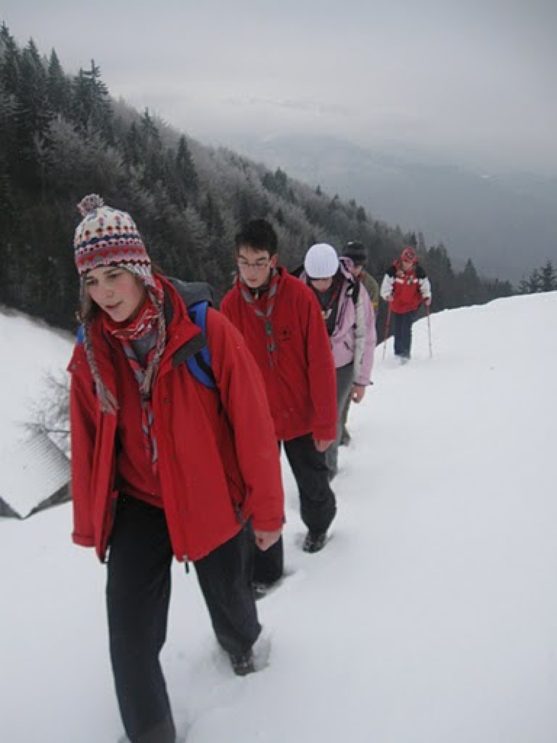 Juha se je začela kuhati med klanovodji Poljanske in Selše doline.  Vse do meglenega  jutra, 29. januarja 2011, naj bi naš načrt ostal skrivnost, pa voditelji še zdaj ne vemo, kdo od klanovcev je posumil, da se nekaj kuha …