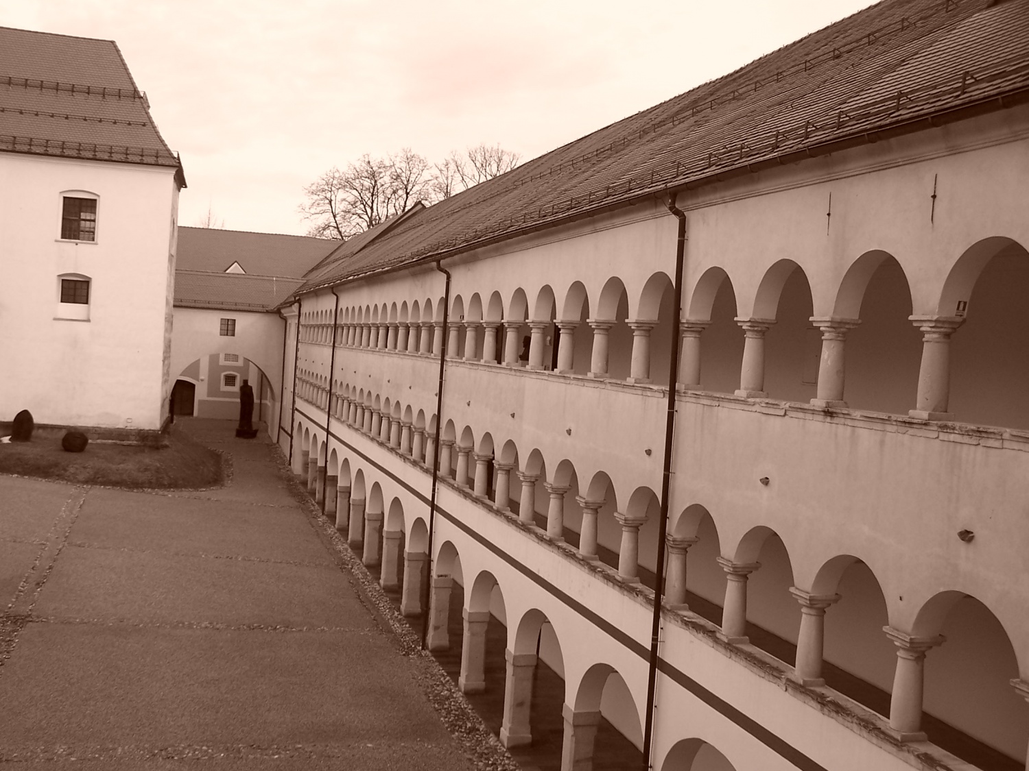 V soboto, 8. januarja 2011, smo se SKVO Mozirje 1 odpravili na (že tradicionalni) izlet SKVO-ja. Tokrat nismo prečkali meje Republike Slovenije, temveč le Štajersko mejo. Odpravili smo se na Dolenjsko – pot nas je zanesla v Kostanjevico na Krki in v Pleterje.
Pri tem pa ni šlo samo za izlet, temveč za nekaj več ...